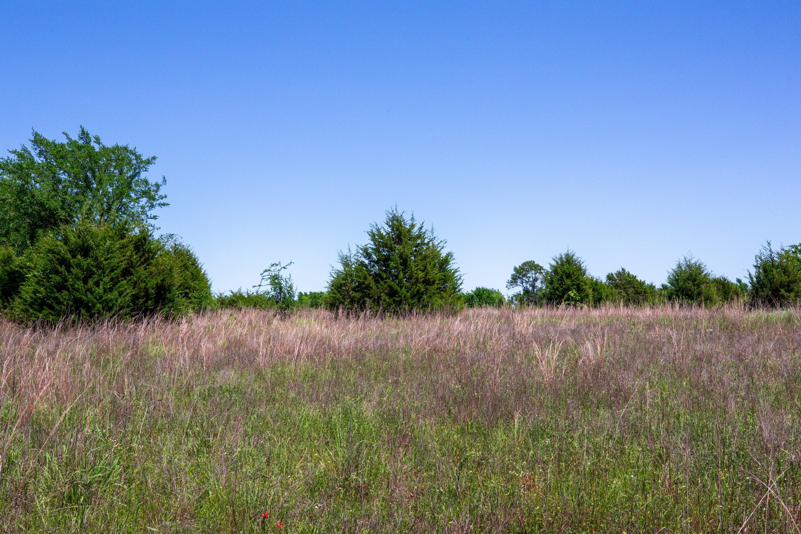 Prairie Grove Tract 14 photo 8
