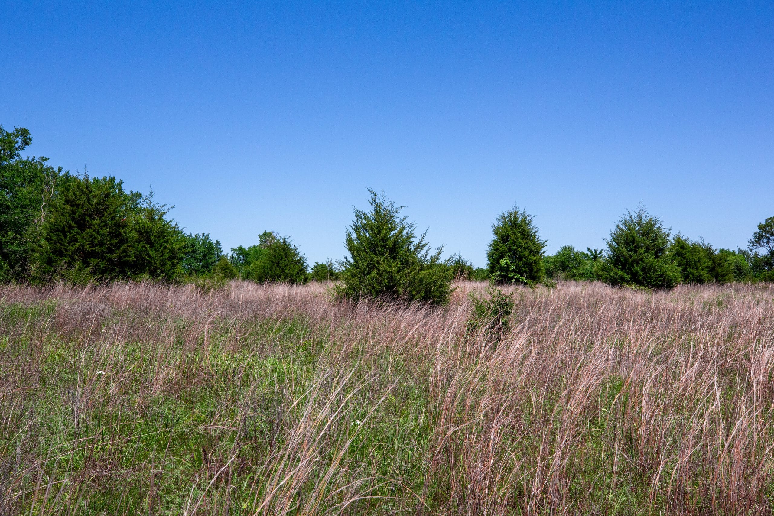 Prairie Grove Tract 14 photo 4