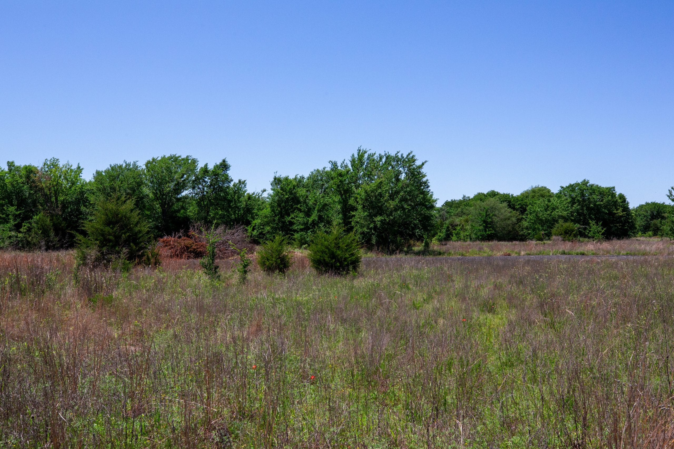 Prairie Grove Tract 14 photo 15