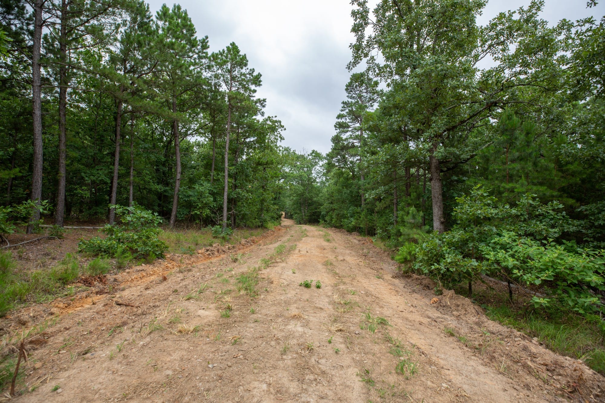 Eagle’s Nest Tract 84 photo 2