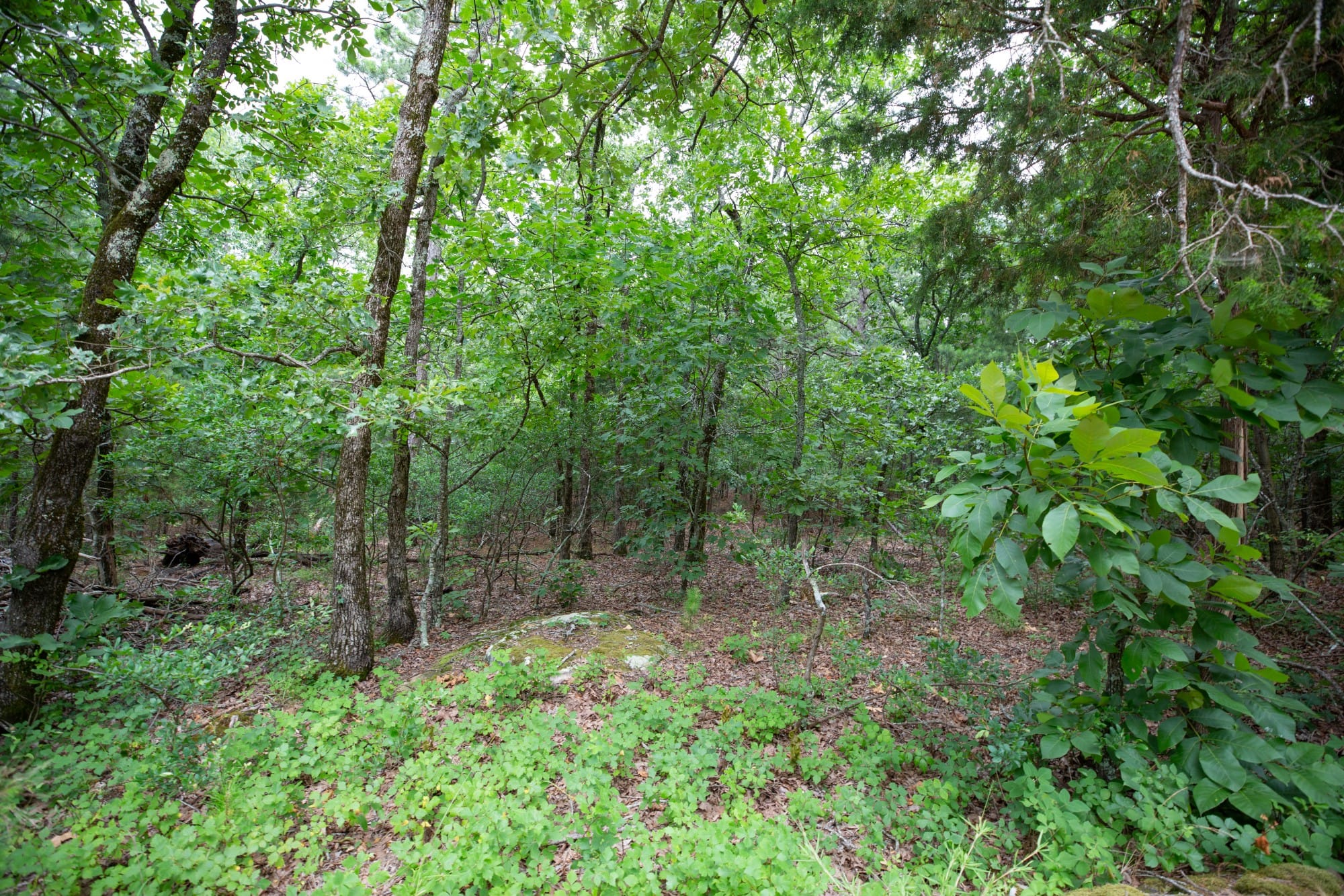 Eagle’s Nest Tract 84 photo 6