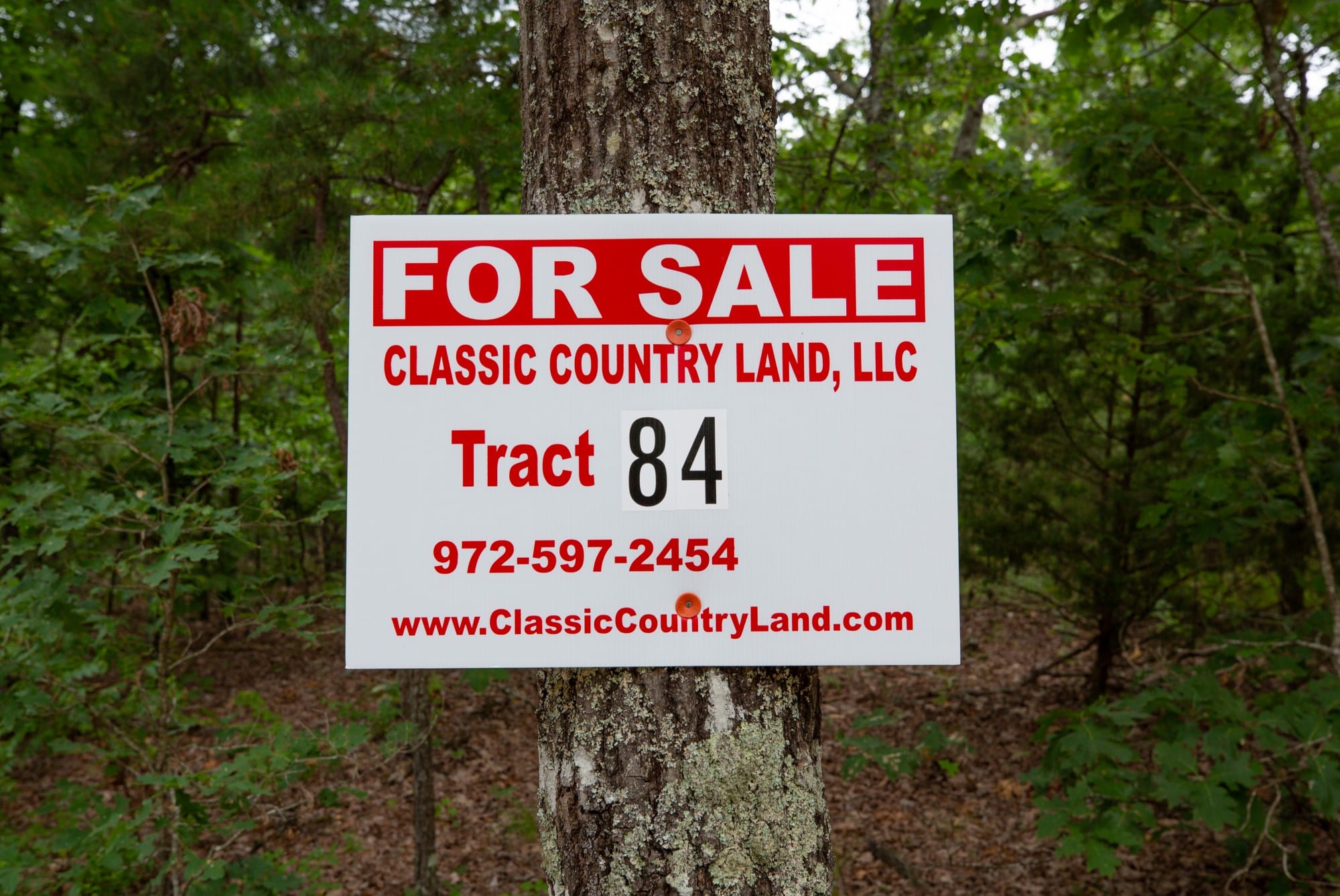 Eagle’s Nest Tract 84 photo 1