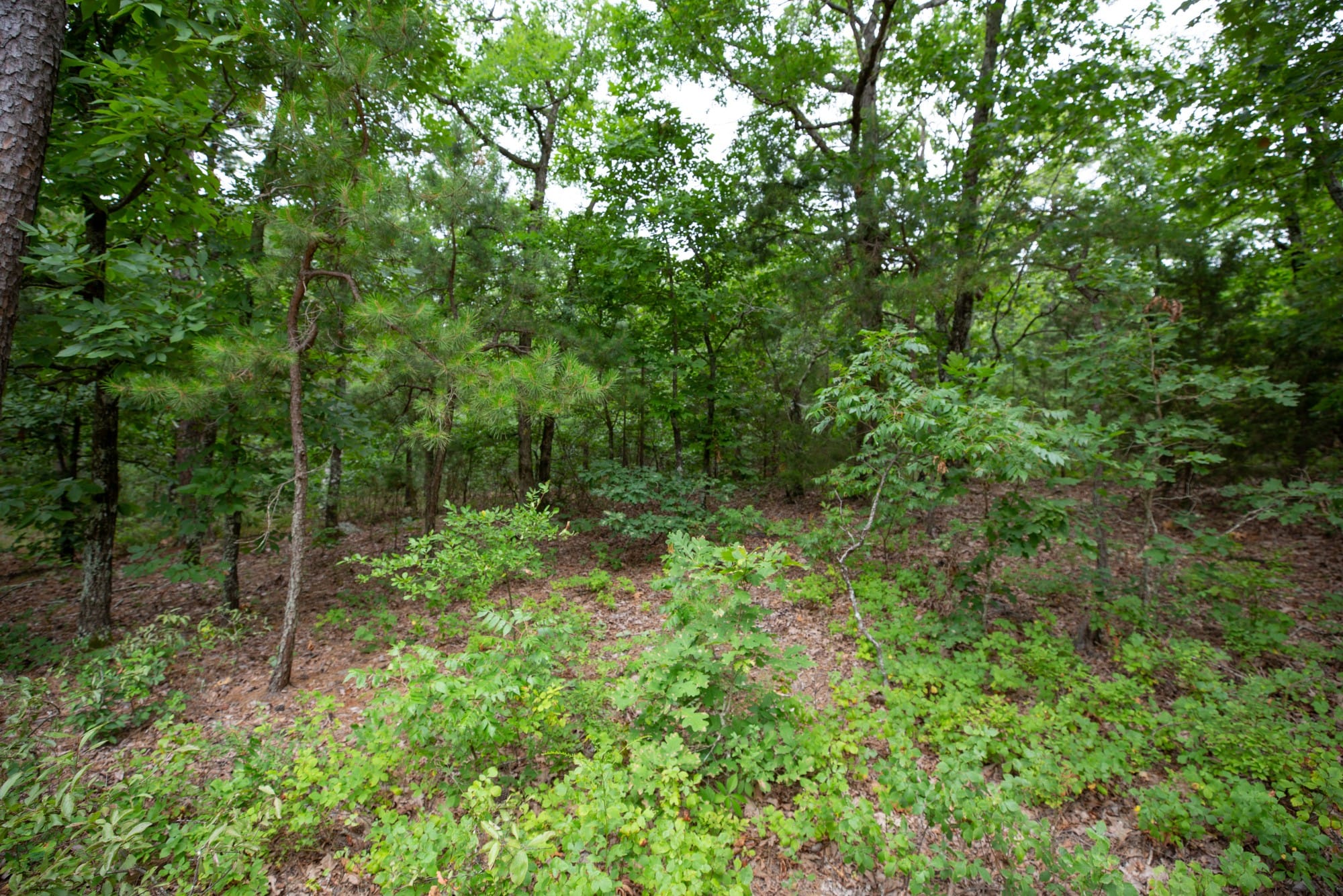 Eagle’s Nest Tract 84 photo 11