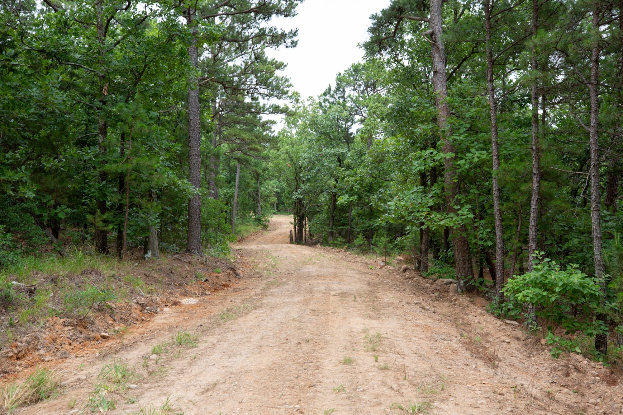 Eagle’s Nest Tract 84 photo 8