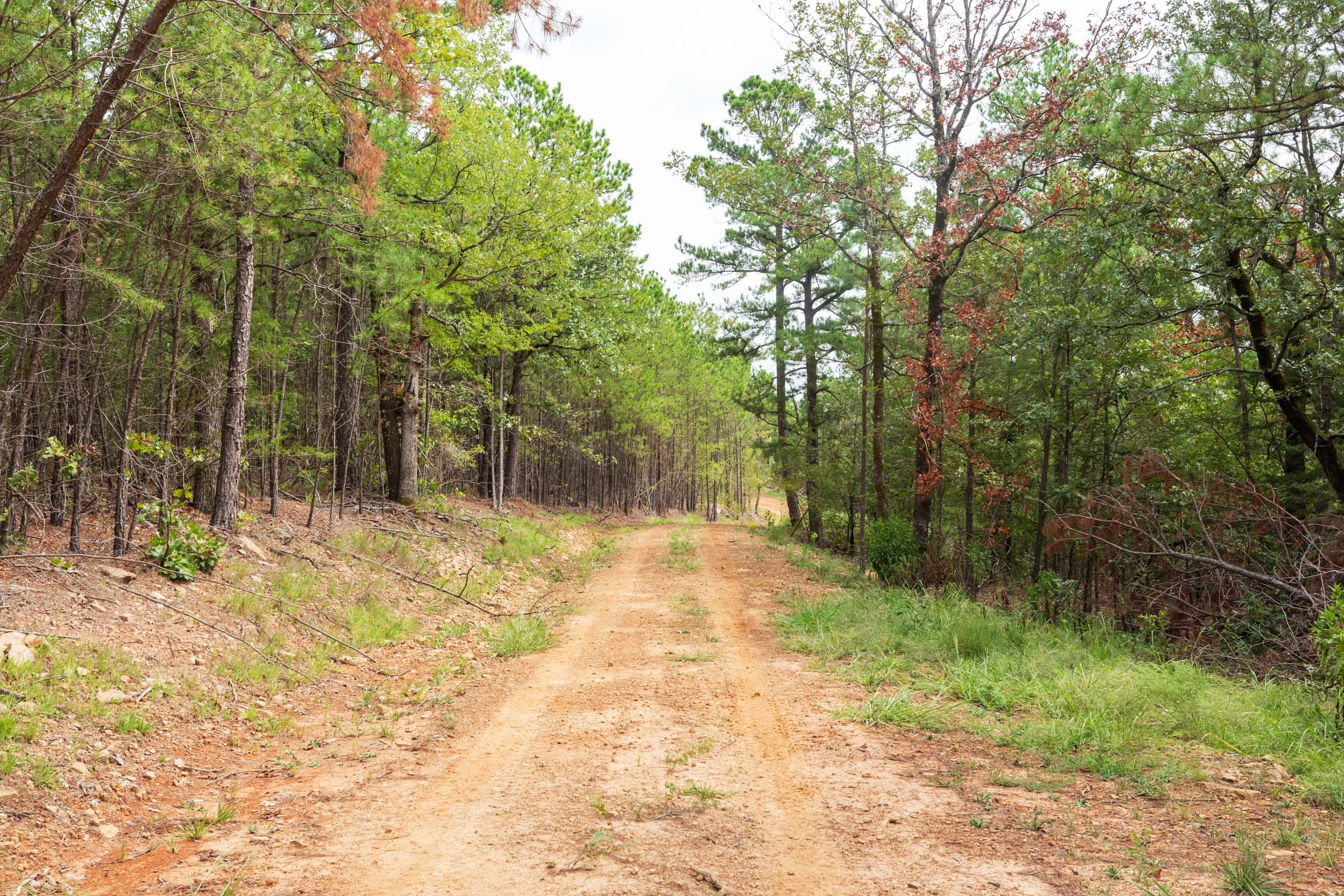 Stone Bridge Phase V Tract 362 photo 1