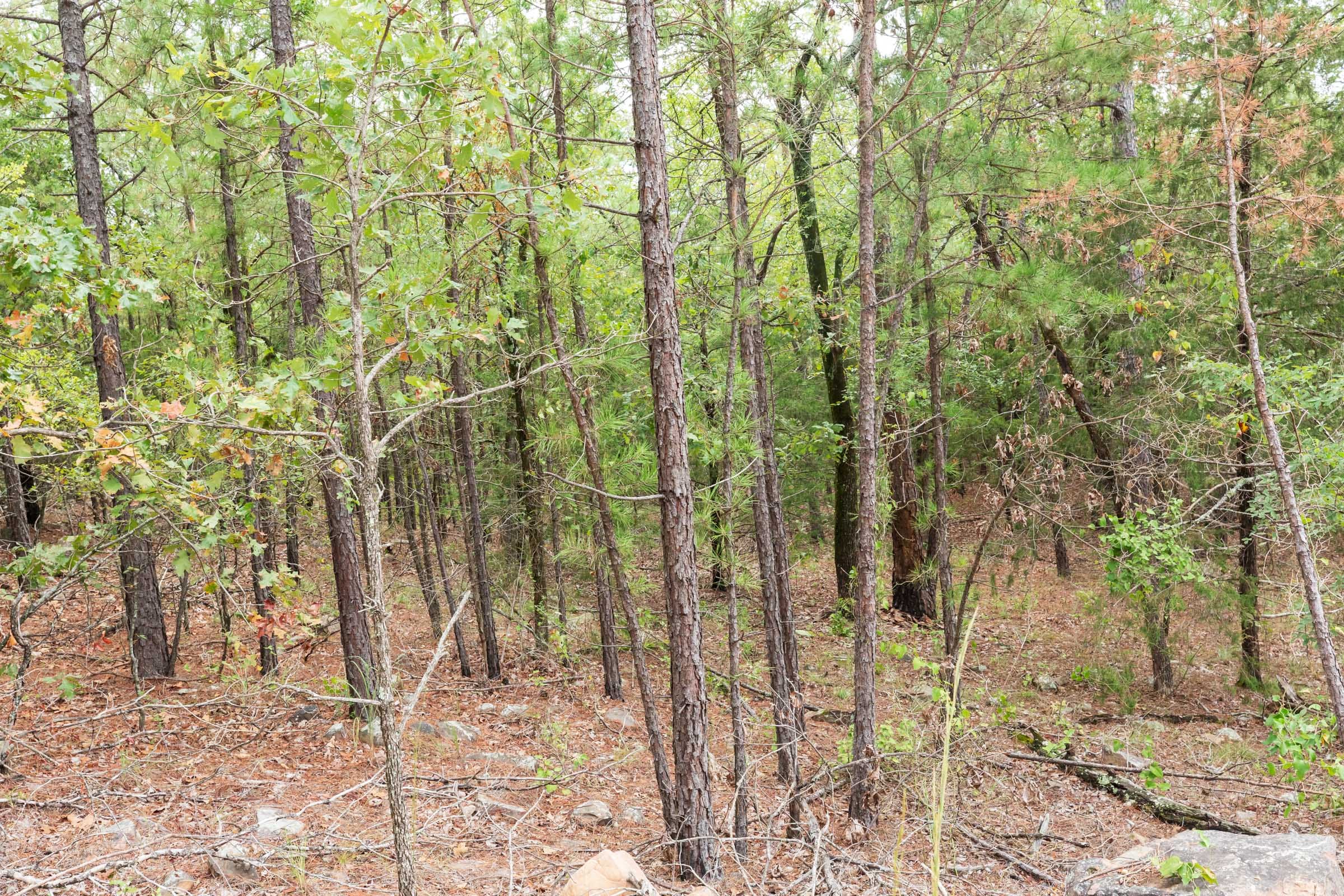 Stone Bridge Phase V Tract 362 photo 11