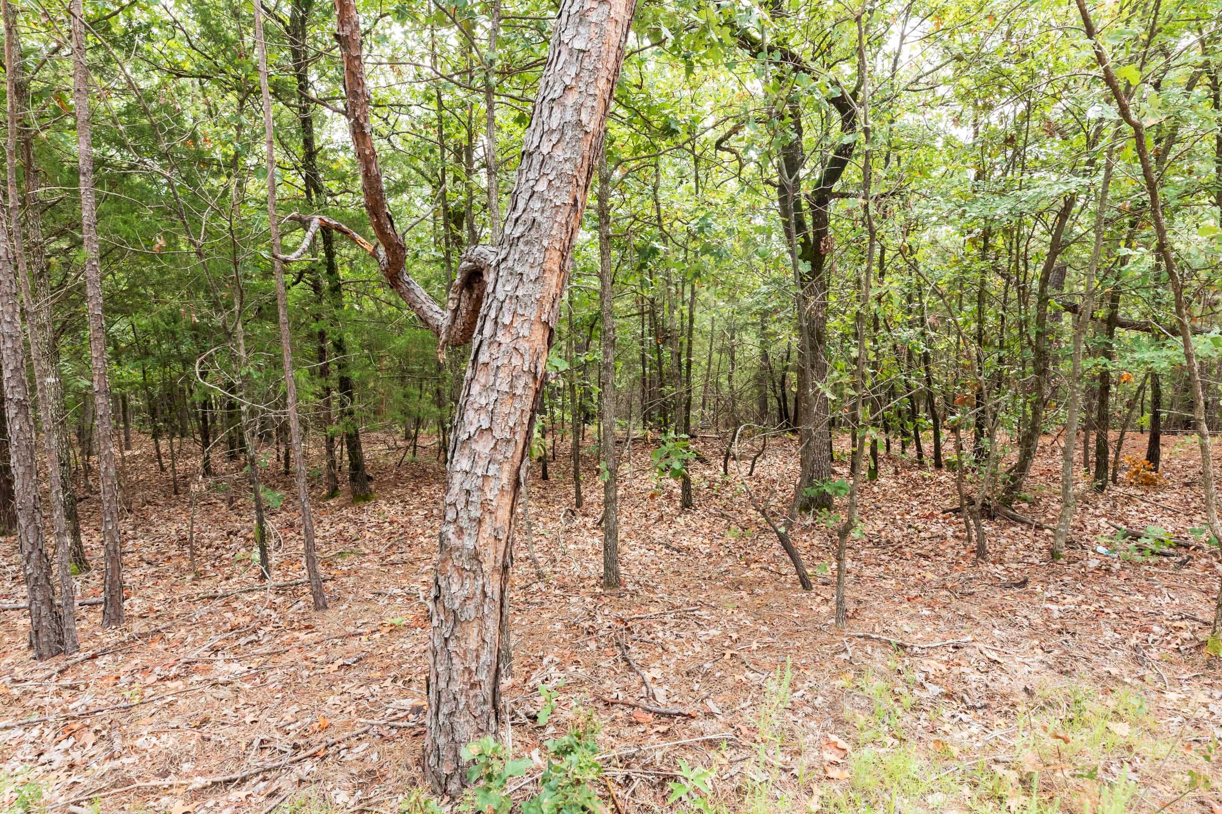 Stone Bridge Phase V Tract 362 photo 12