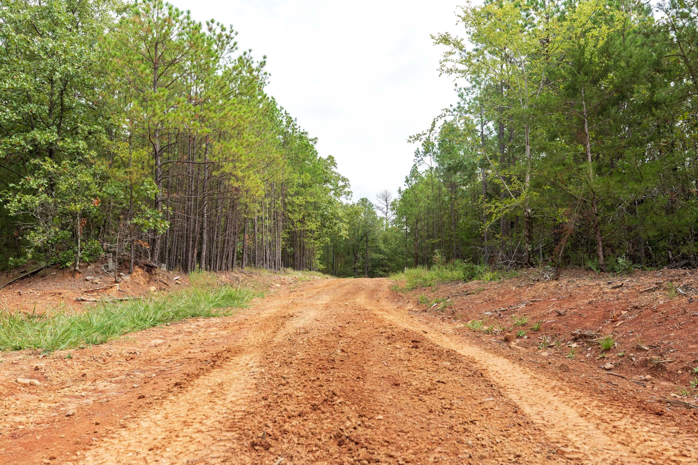 Stone Bridge Phase V Tract 362 photo 14