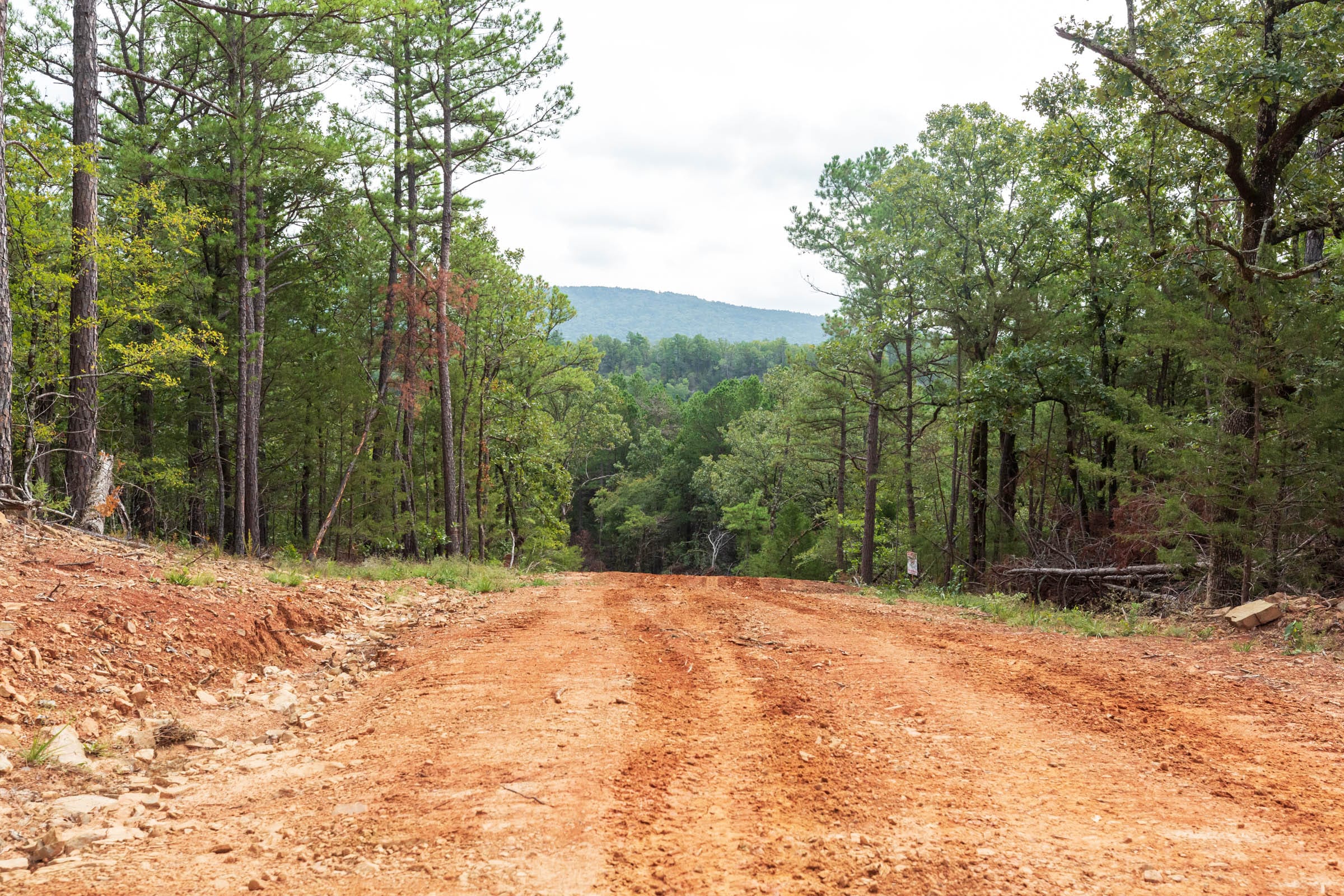 Stone Bridge Phase V Tract 362 photo 21