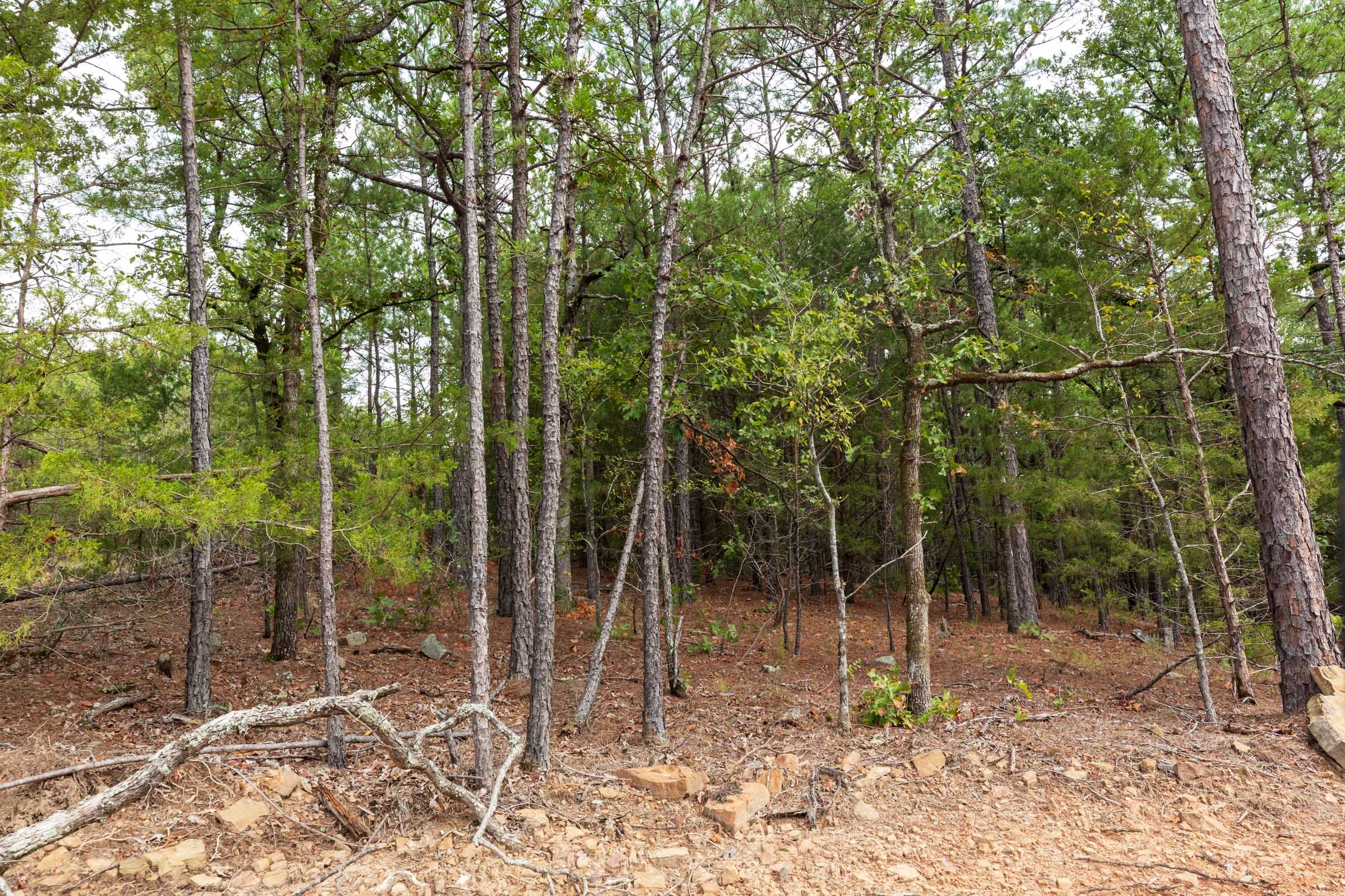 Stone Bridge Phase V Tract 362 photo 15