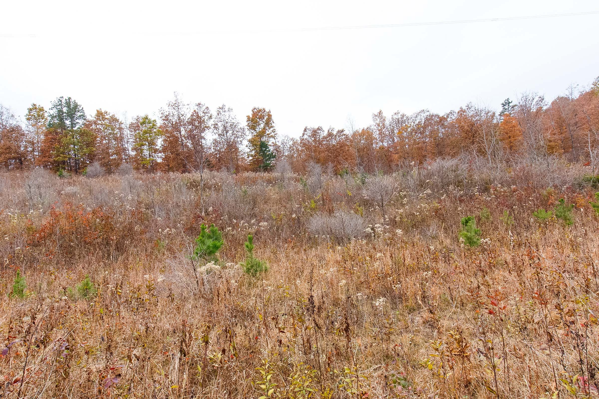 Hawkcrest Tract 3 photo 4