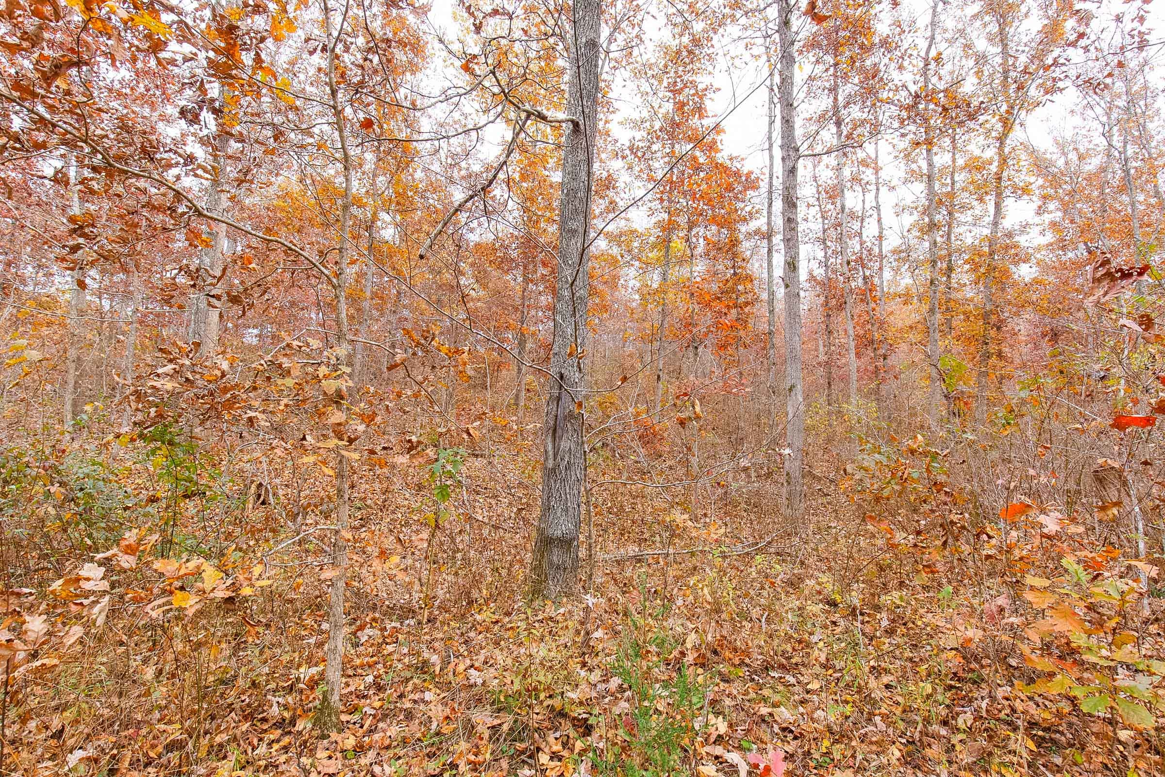 Hawkcrest Tract 3 photo 6