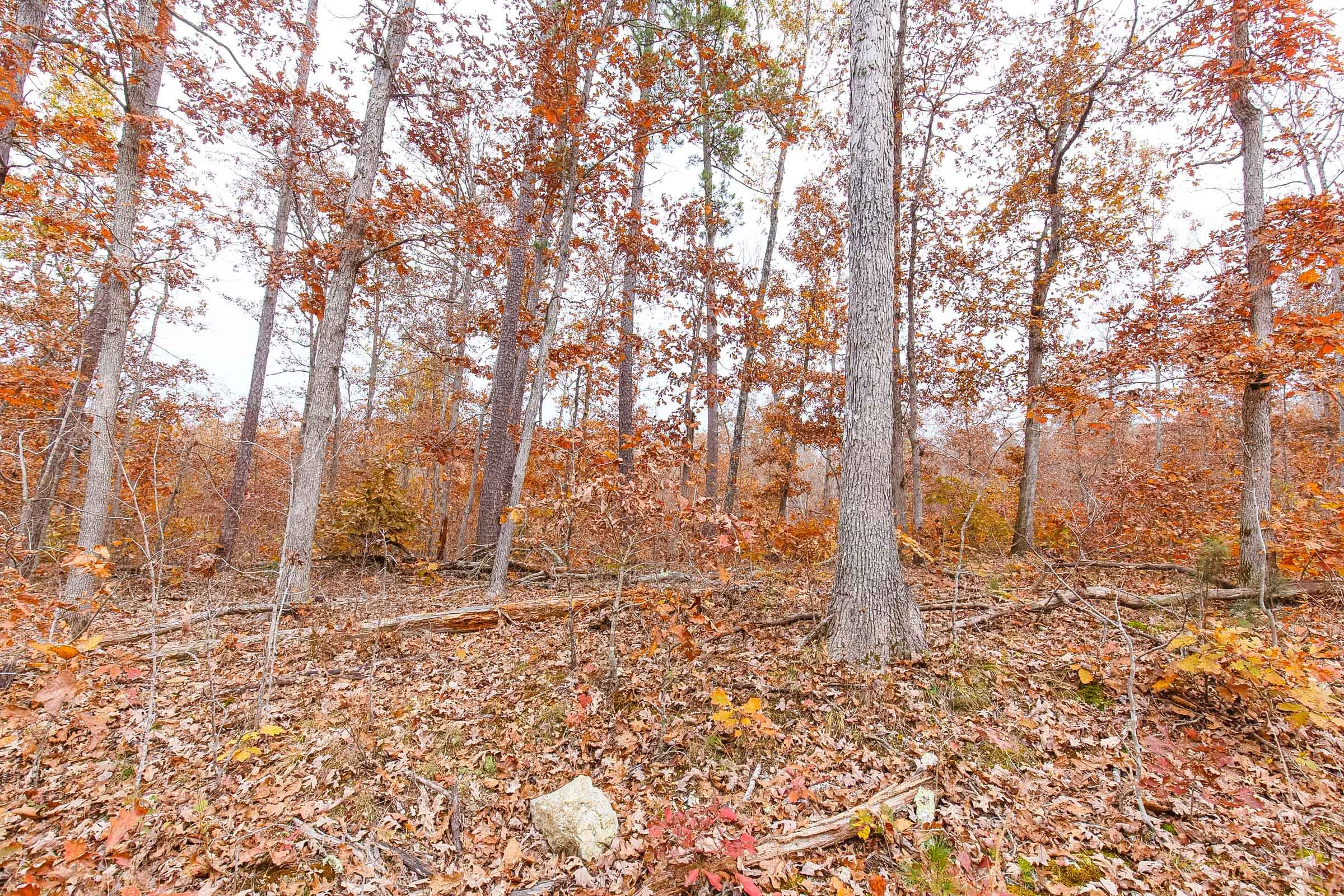 Hawkcrest Tract 3 photo 9