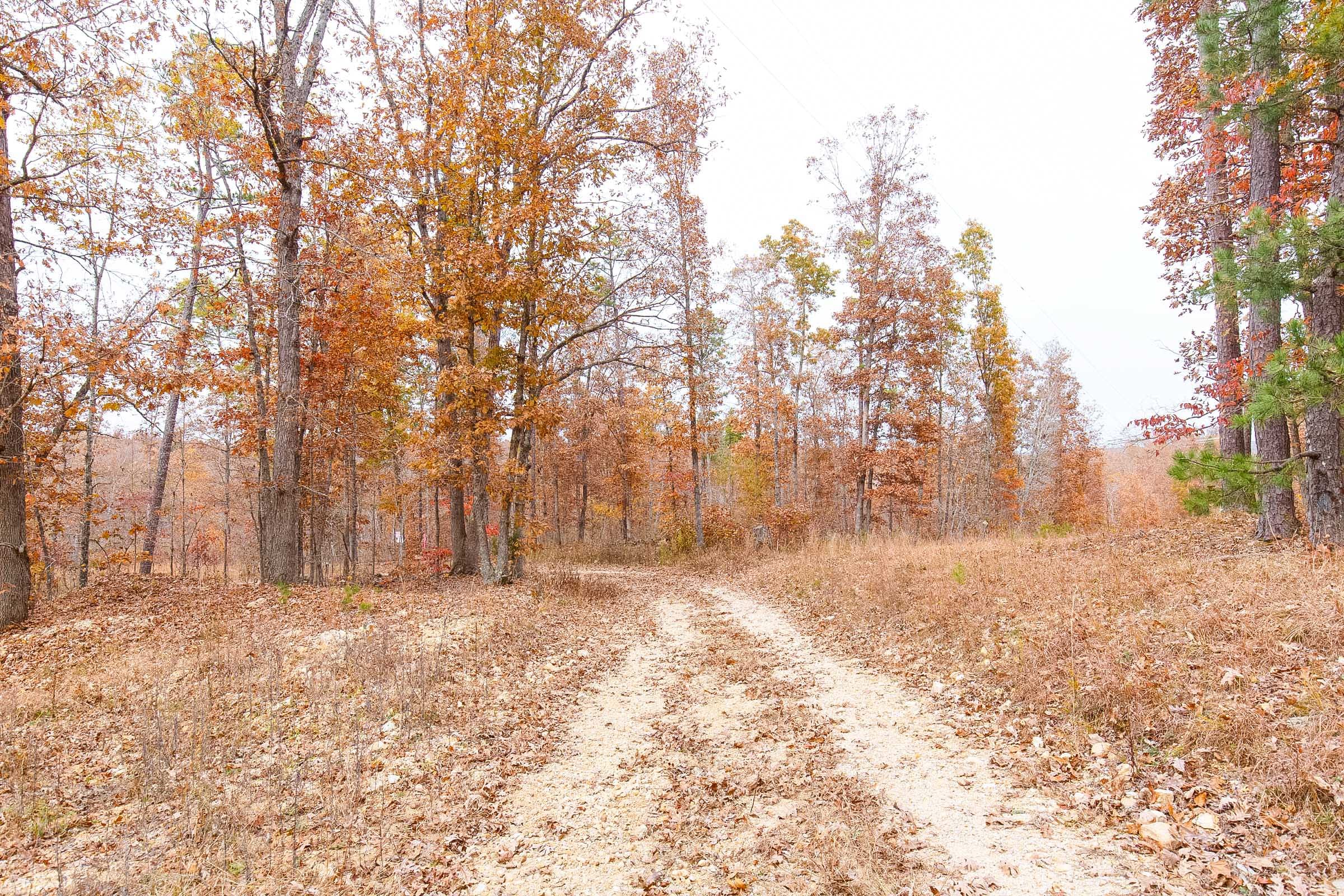Hawkcrest Tract 3 photo 1