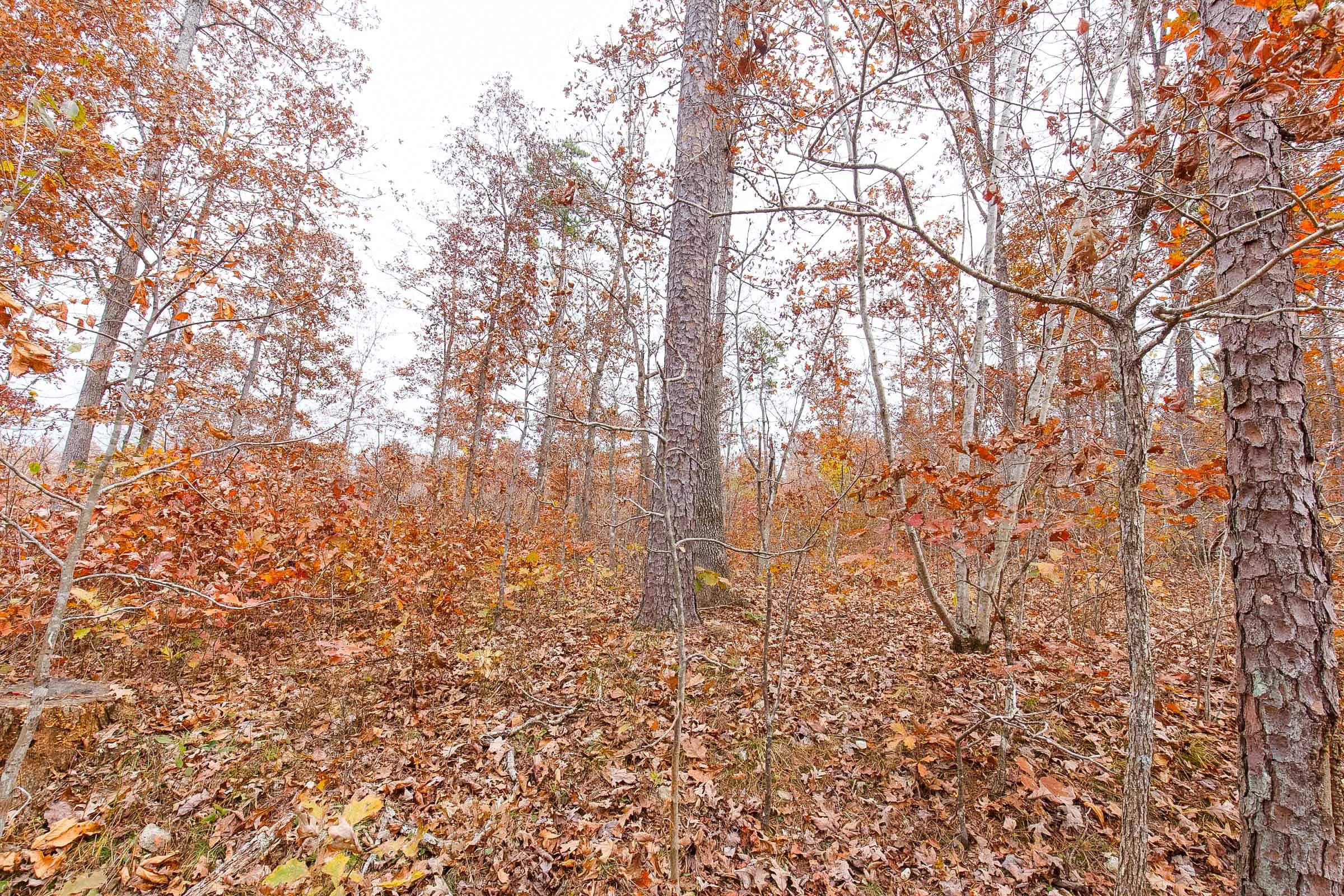Hawkcrest Tract 3 photo 10