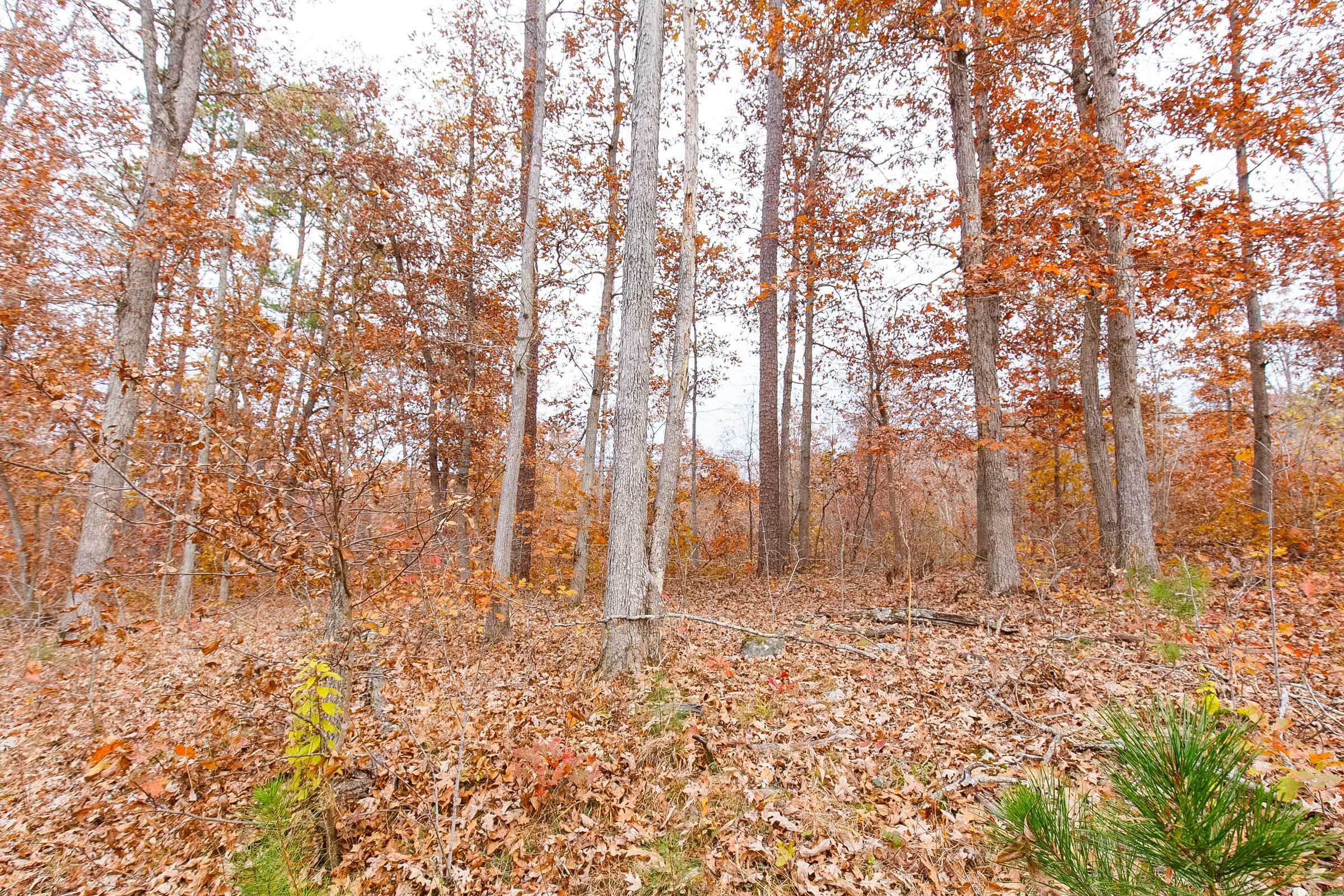 Hawkcrest Tract 3 photo 13