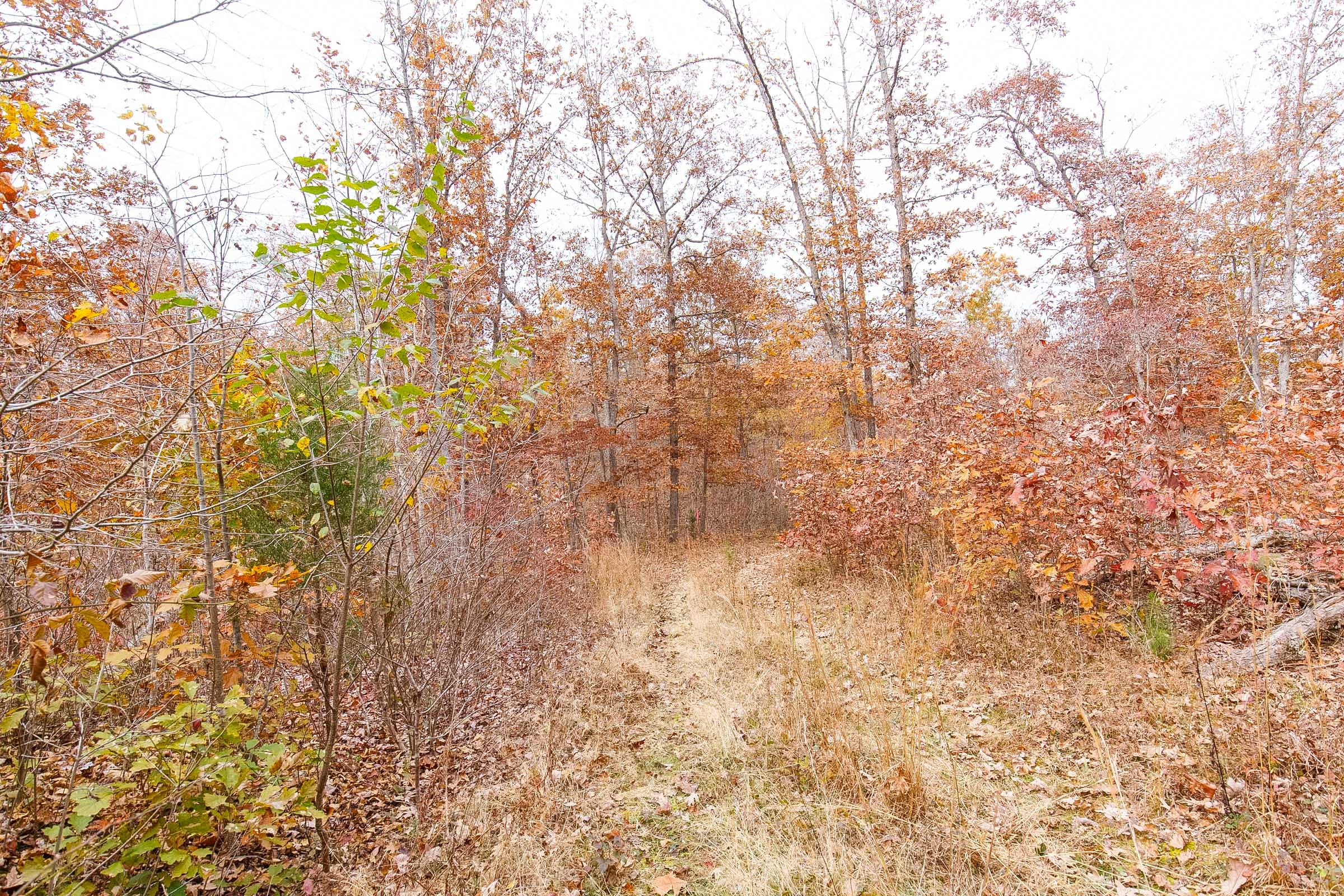 Hawkcrest Tract 3 photo 8