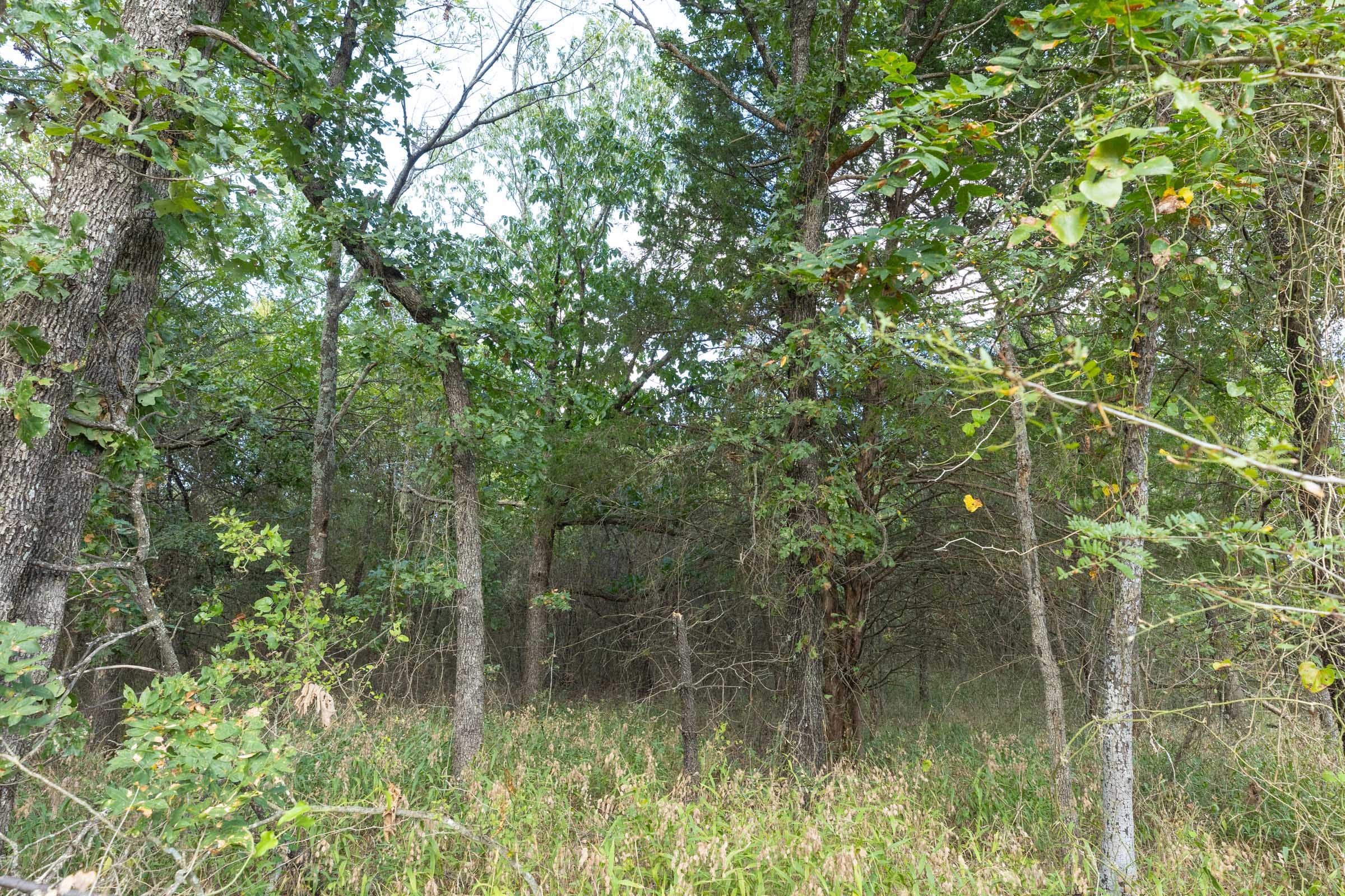 Reserves At Cattail Cove Phase II Tract 74 photo 11
