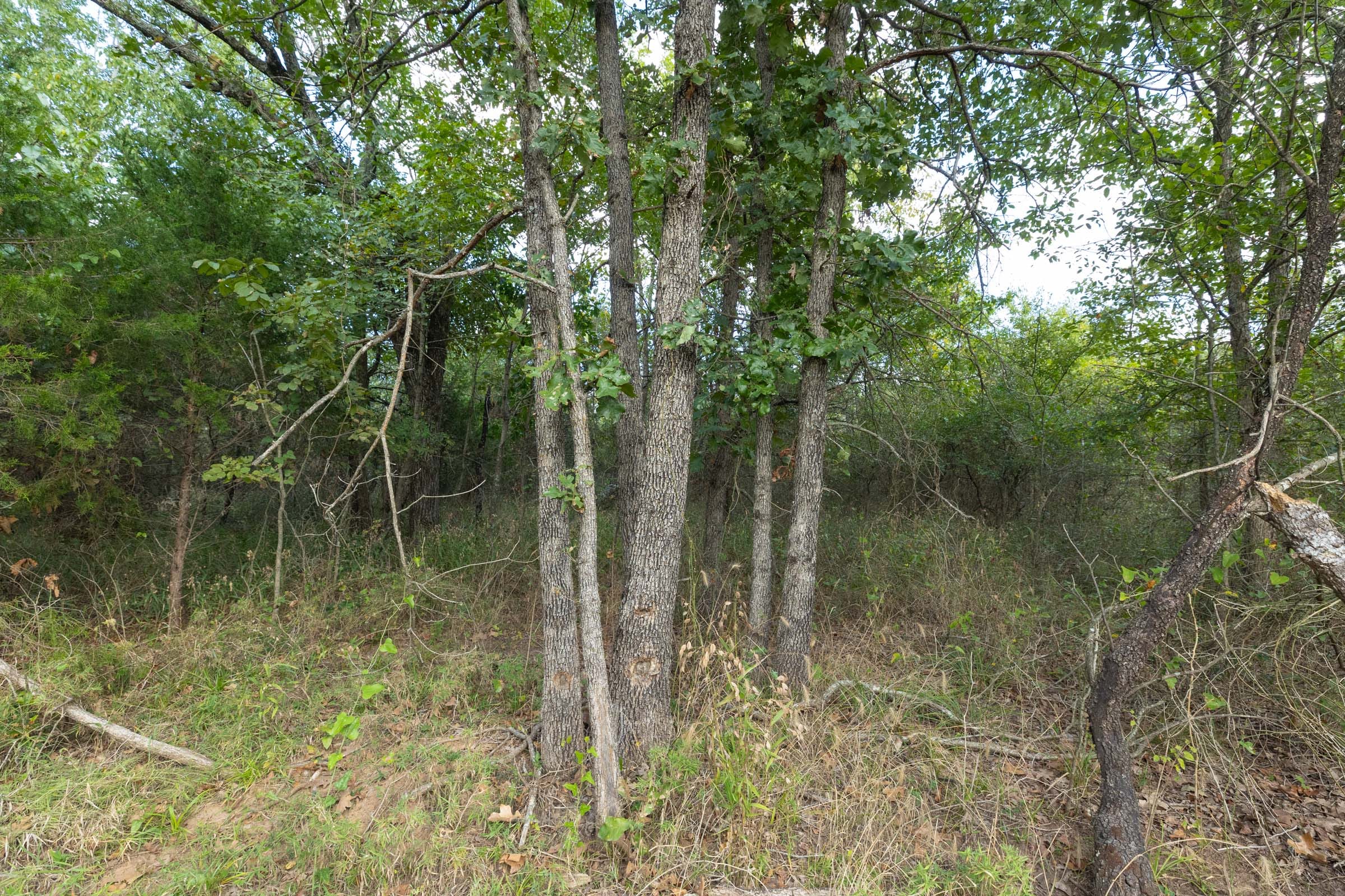 Reserves At Cattail Cove Phase II Tract 74 photo 10
