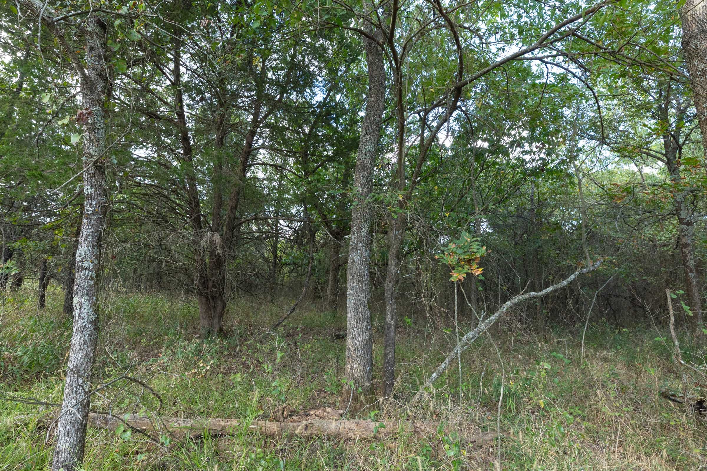 Reserves At Cattail Cove Phase II Tract 74 photo 9