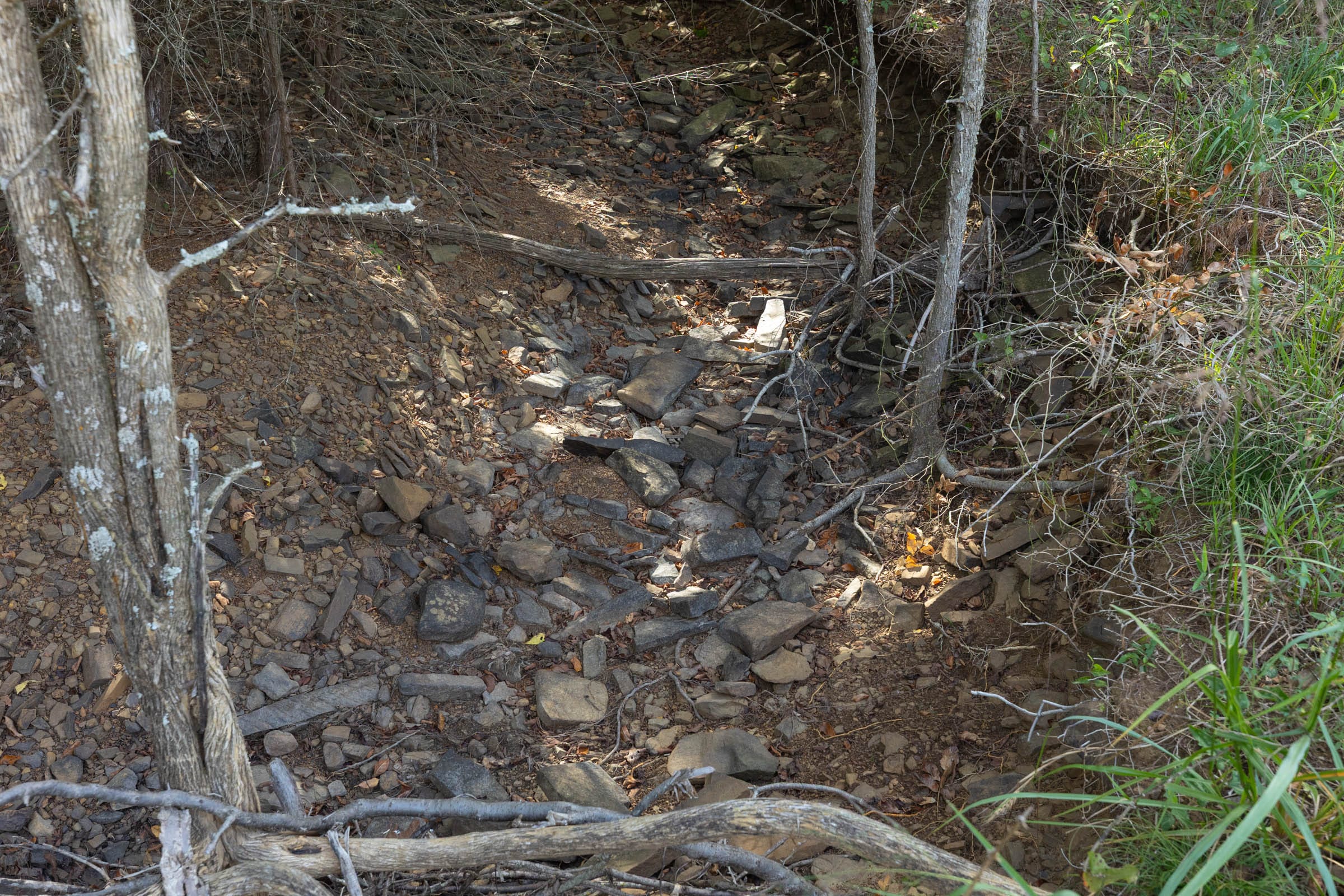 Reserves At Cattail Cove Phase II Tract 74 photo 8