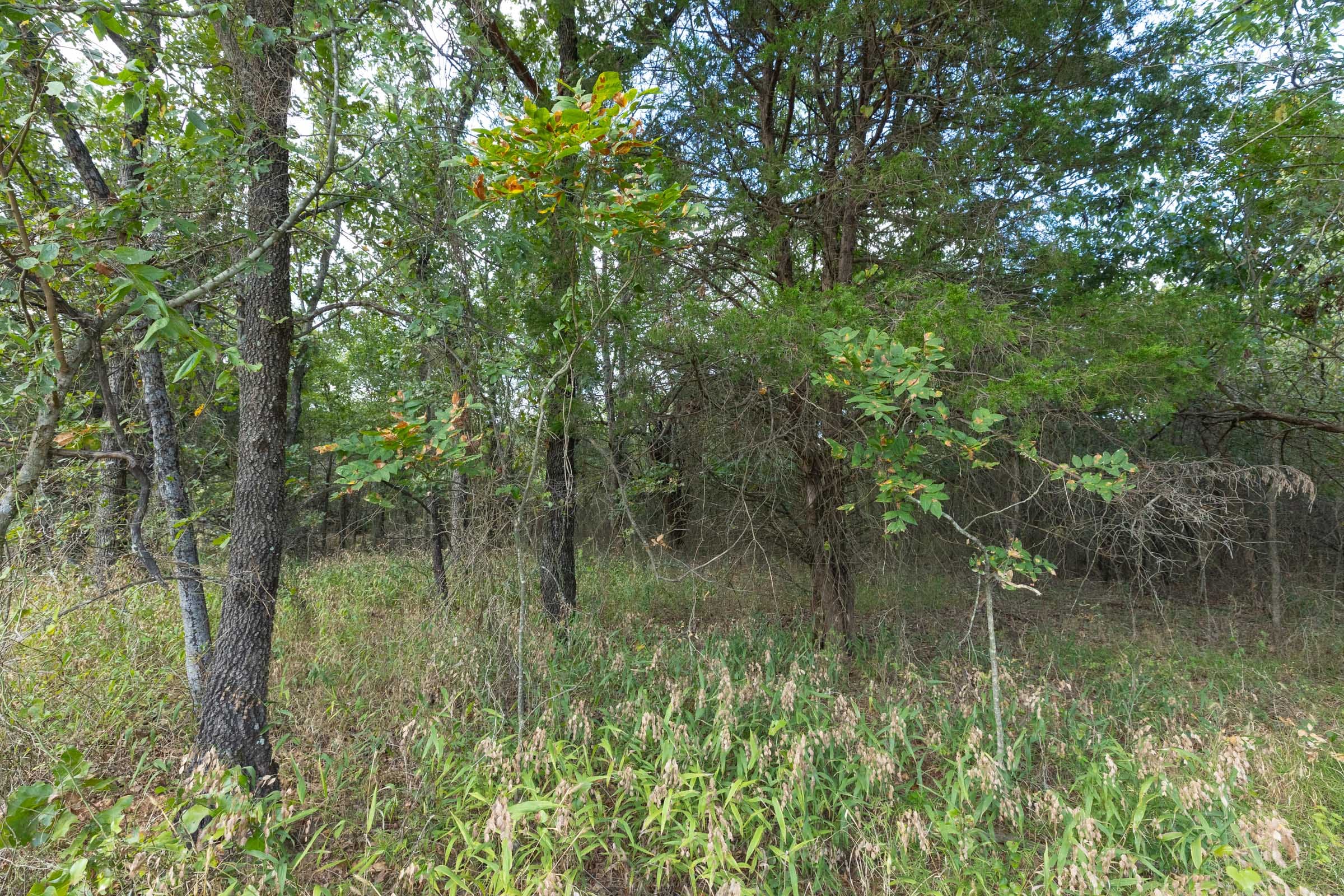 Reserves At Cattail Cove Phase II Tract 74 photo 7