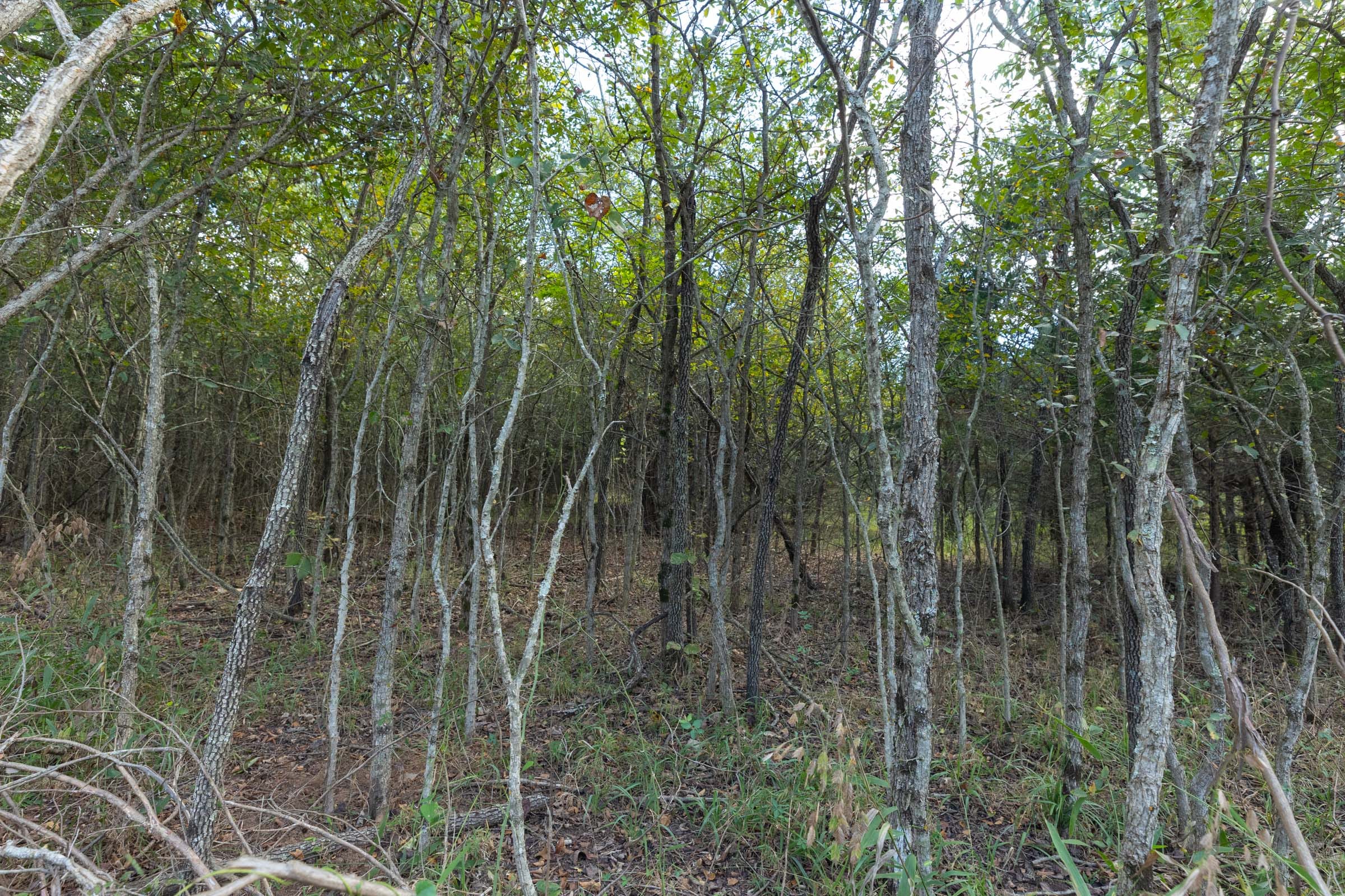 Reserves At Cattail Cove Phase II Tract 74 photo 6