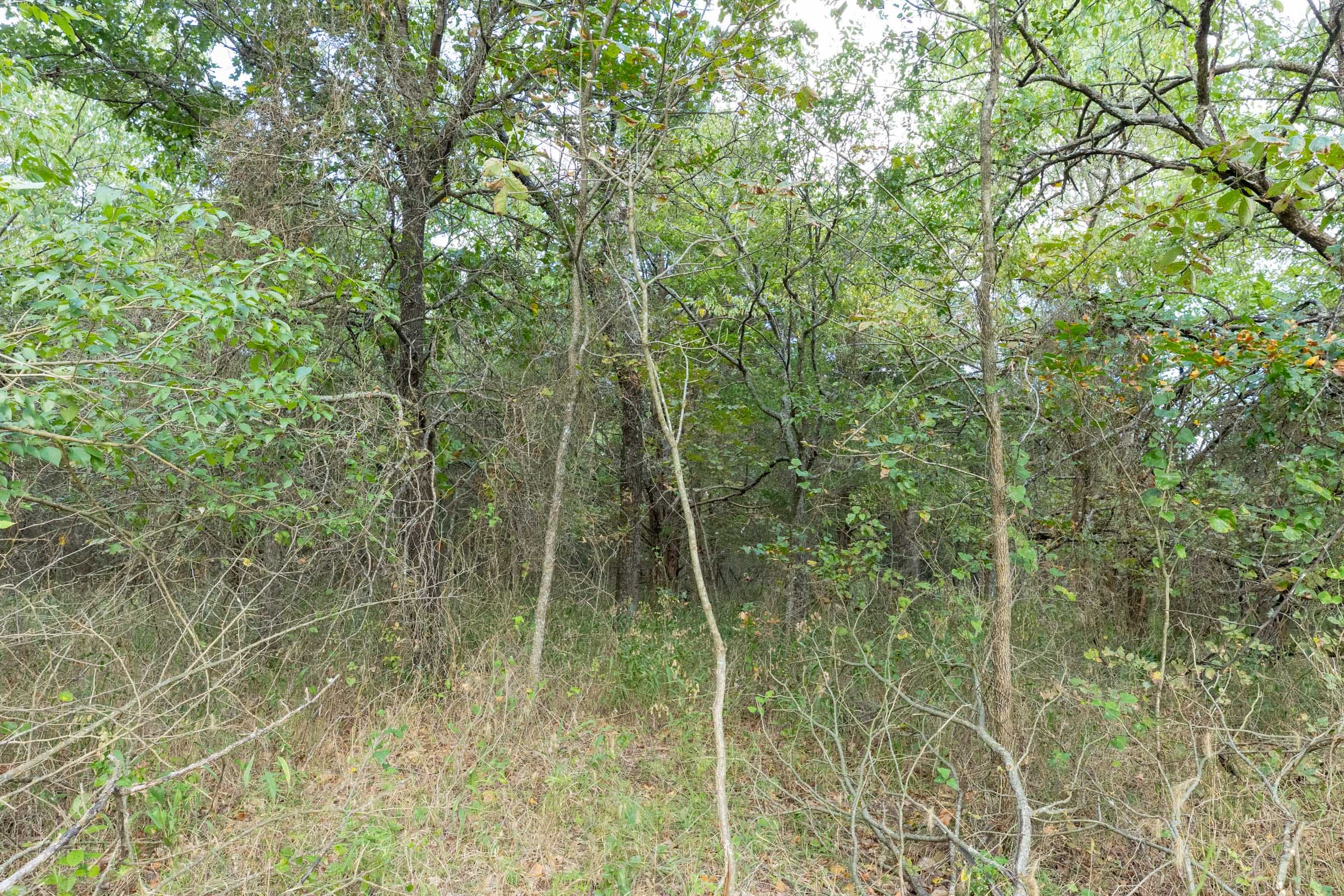 Reserves At Cattail Cove Phase II Tract 74 photo 5