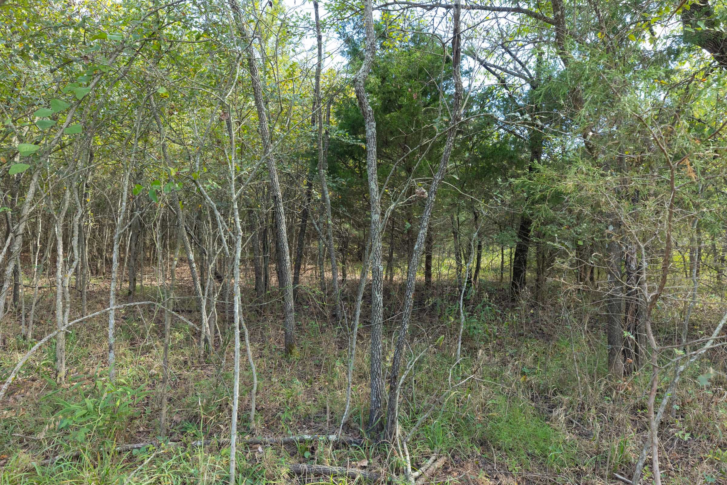 Reserves At Cattail Cove Phase II Tract 74 photo 3
