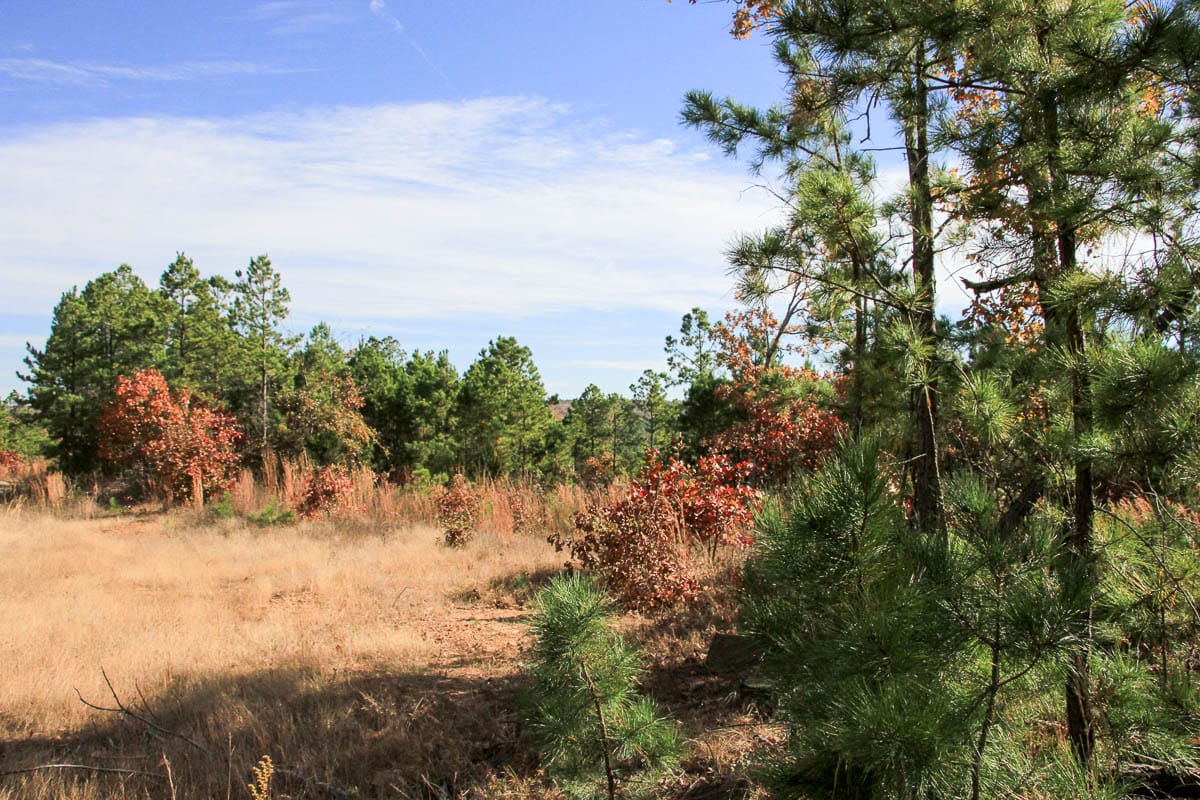 Stone Creek Phase III Tract 35 photo 1