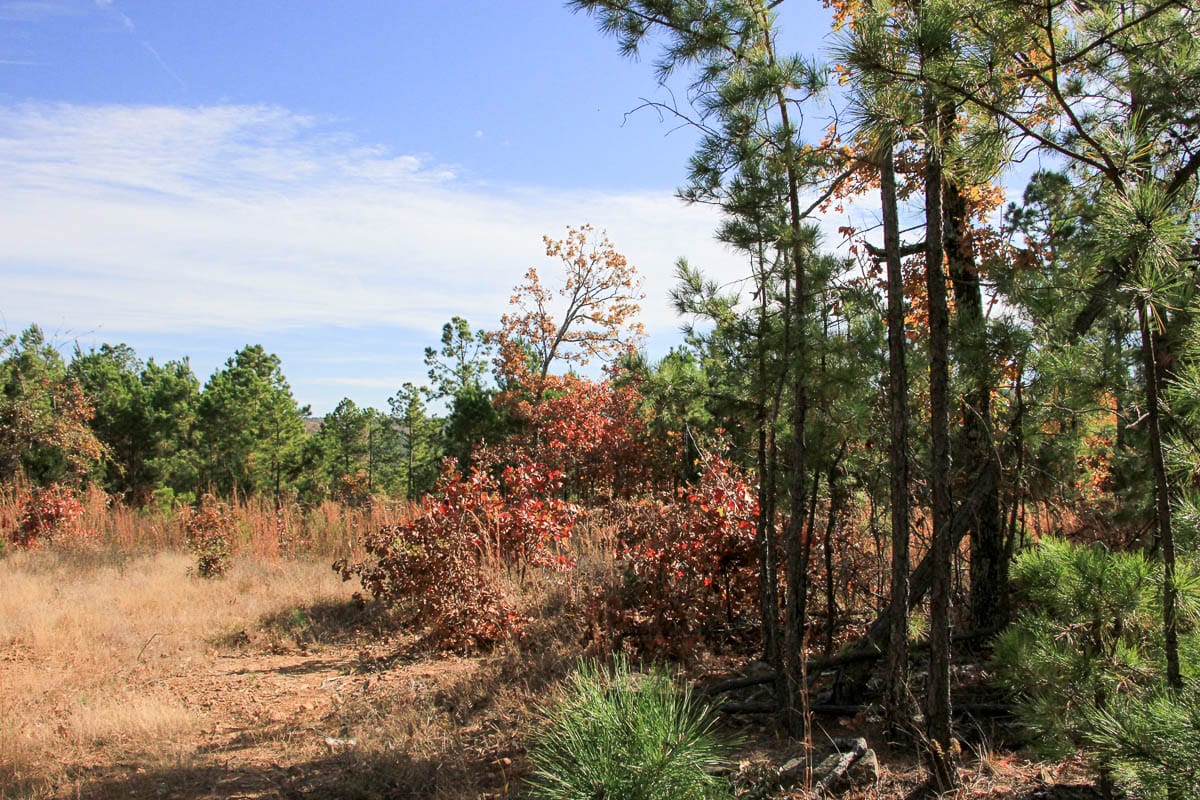 Stone Creek Phase III Tract 35 photo 2