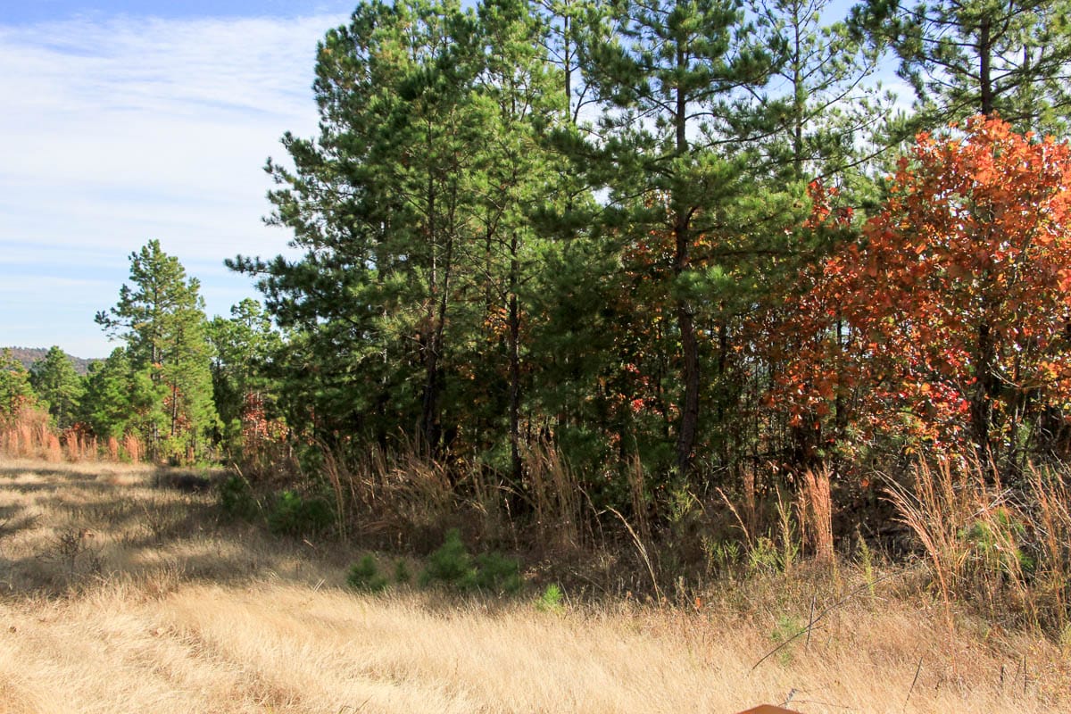 Stone Creek Phase III Tract 35 photo 3