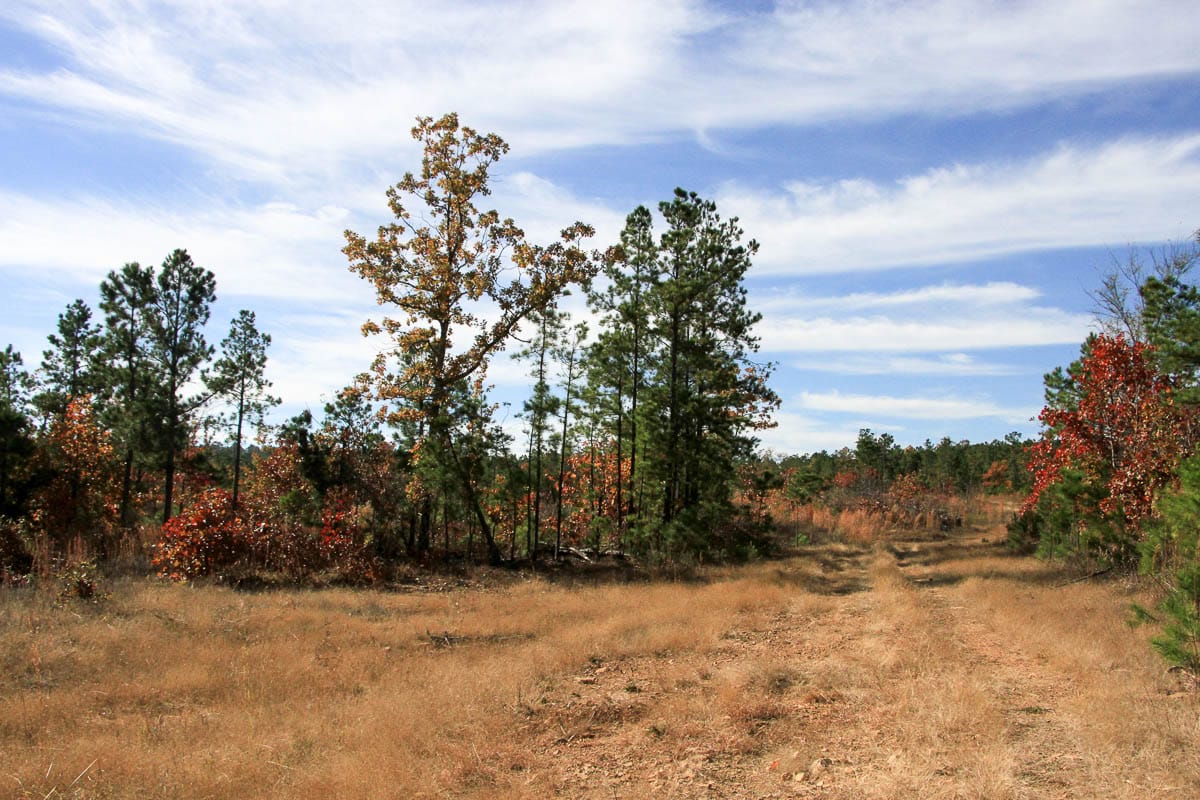 Stone Creek Phase III Tract 35 photo 5