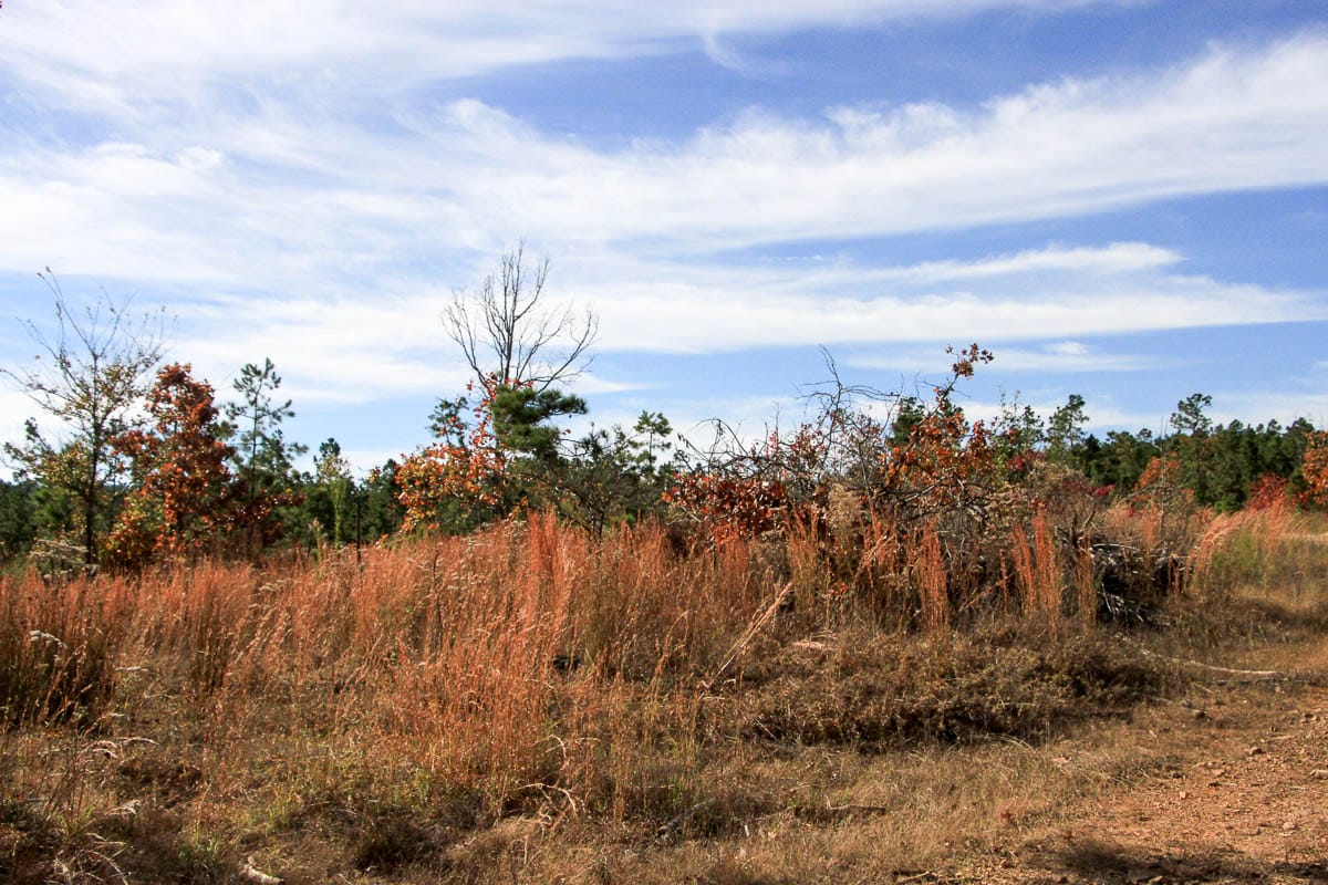 Stone Creek Phase III Tract 35 photo 6