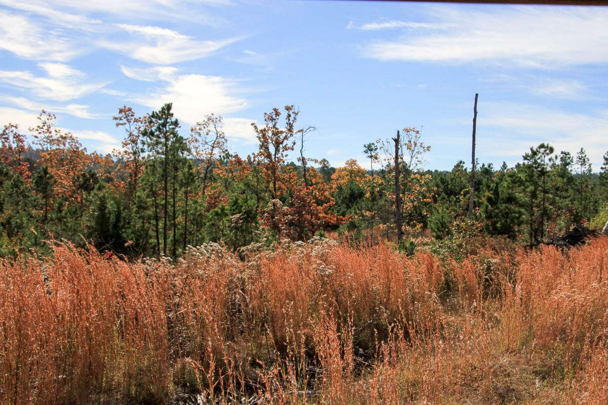 Stone Creek Phase III Tract 35 photo 7
