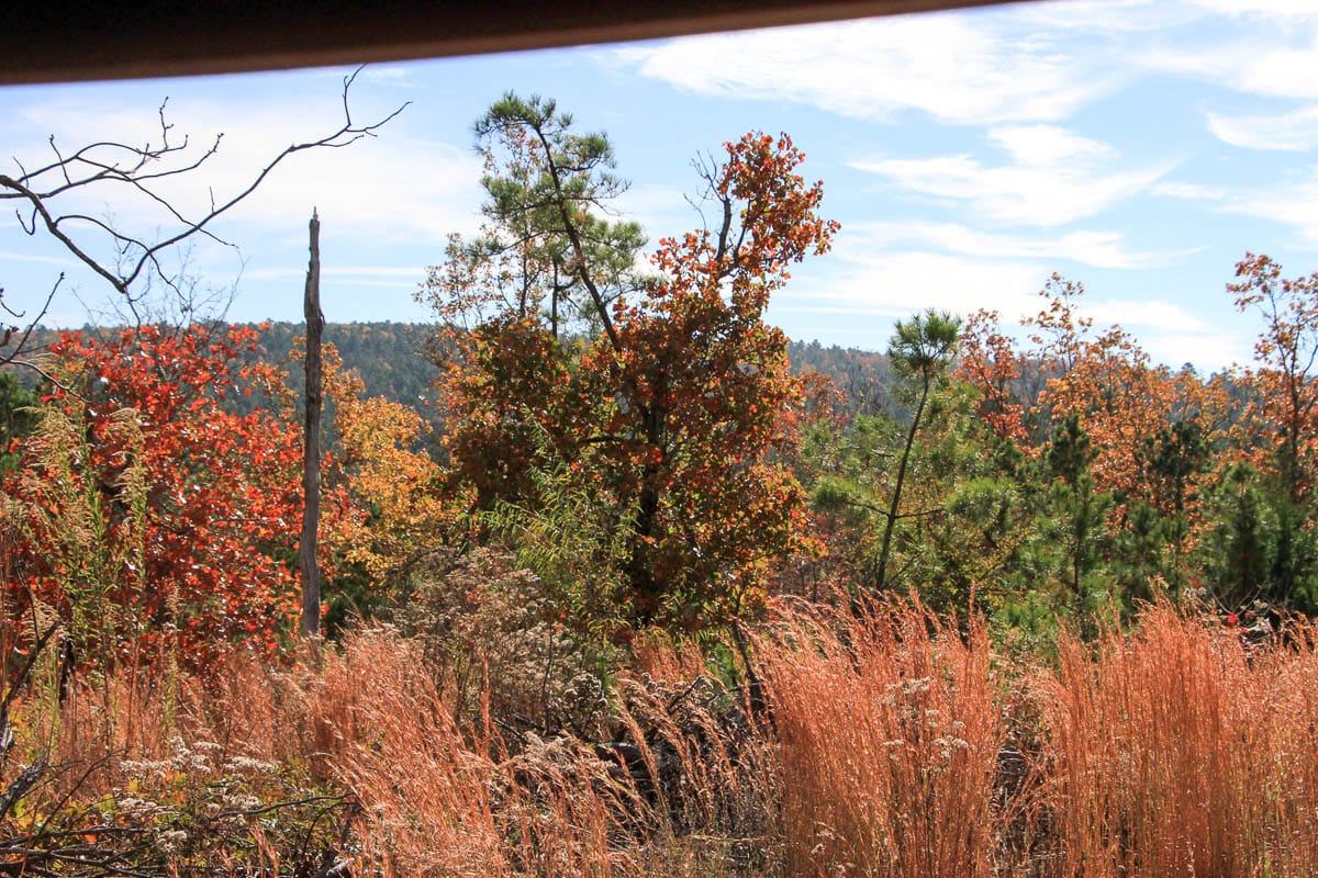 Stone Creek Phase III Tract 35 photo 8