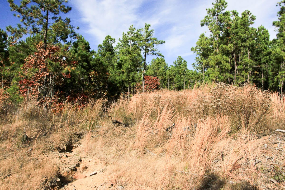 Stone Creek Phase III Tract 35 photo 9