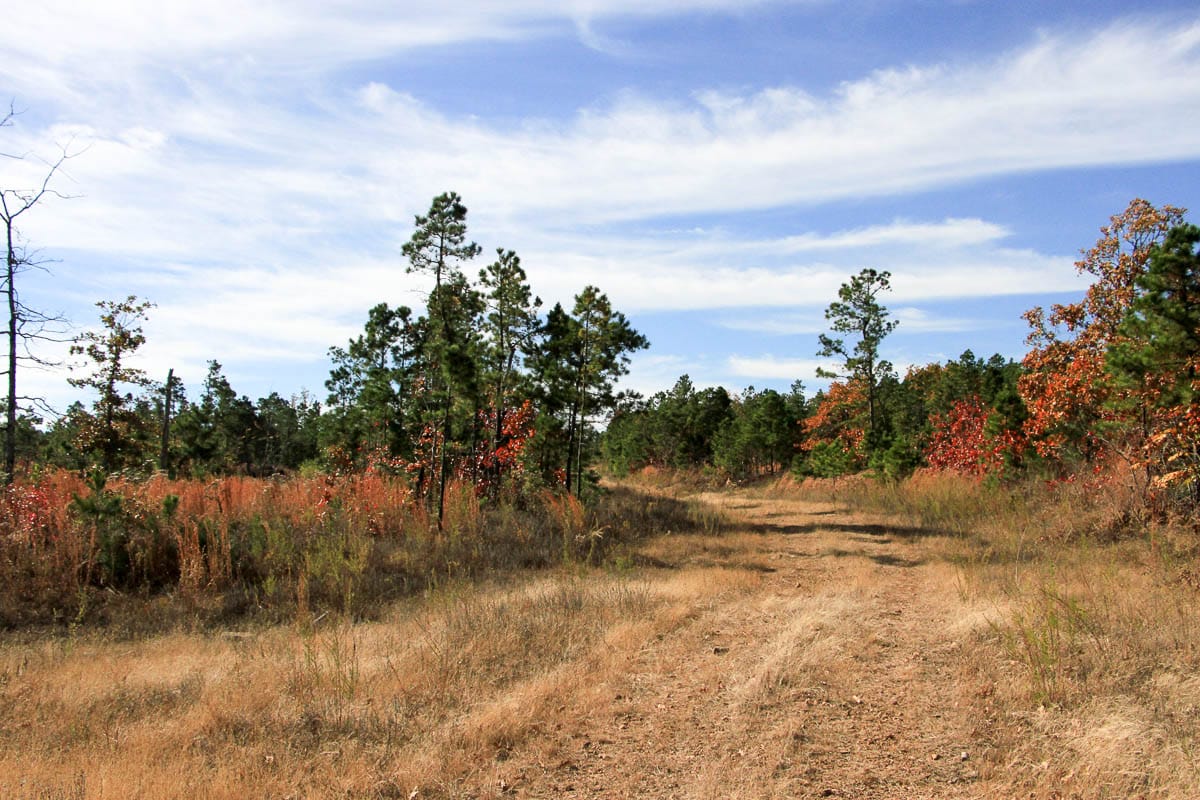 Stone Creek Phase III Tract 35 photo 11