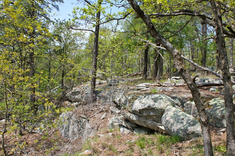 Kiamichi Wilderness Tract 211 photo 5