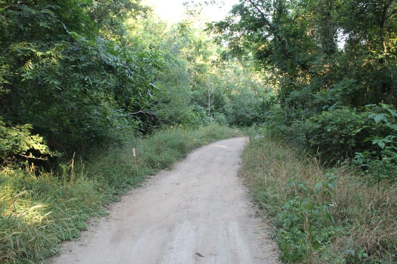 Tahitian Village Tract 683 photo 9