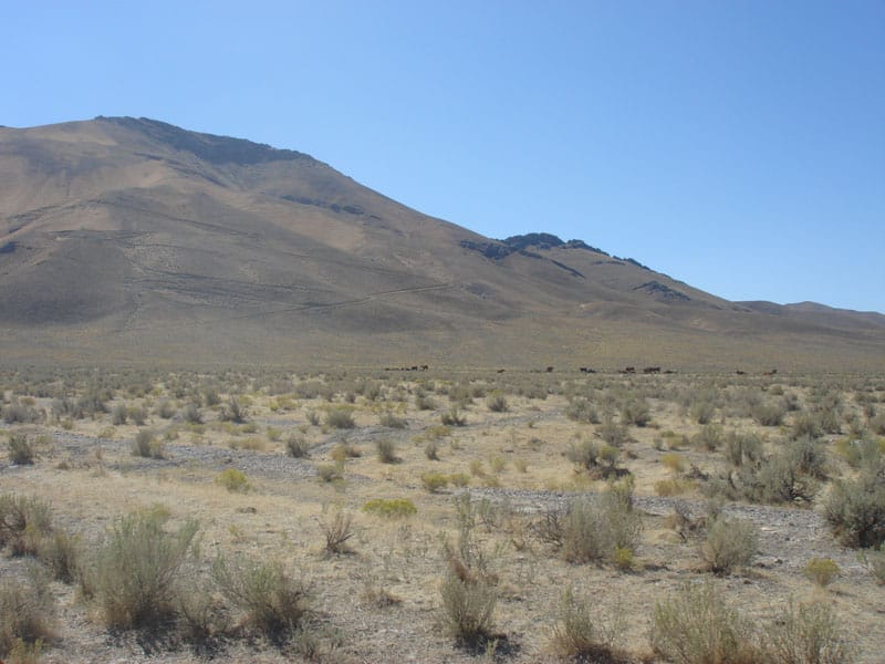 Humboldt County Tract 2 photo 2