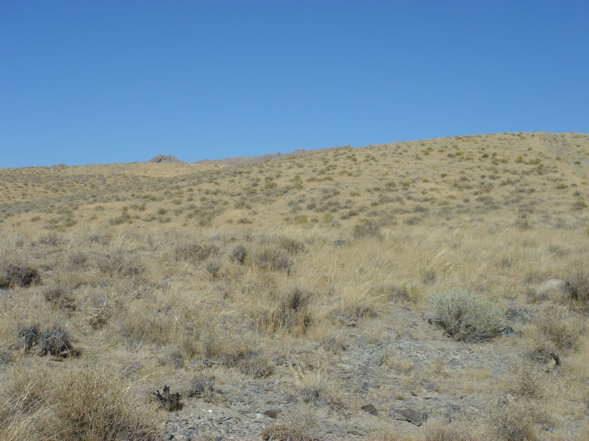 Humboldt County Tract 2 photo 16