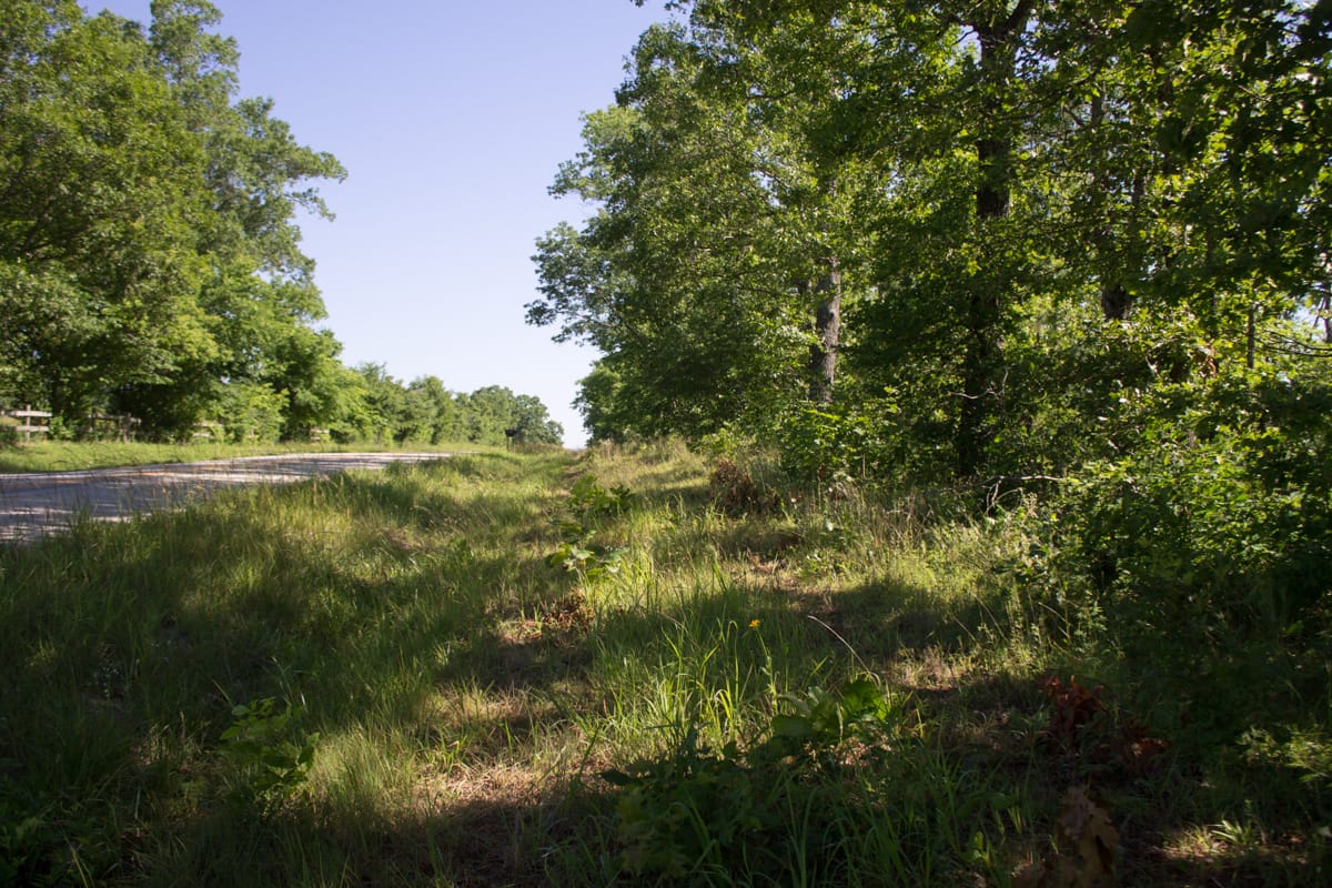 Timber Crossing Tract 5 photo 2