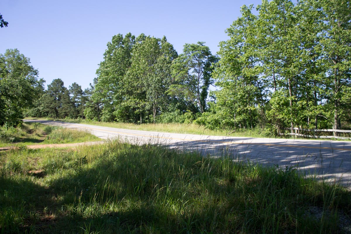 Timber Crossing Tract 5 photo 3