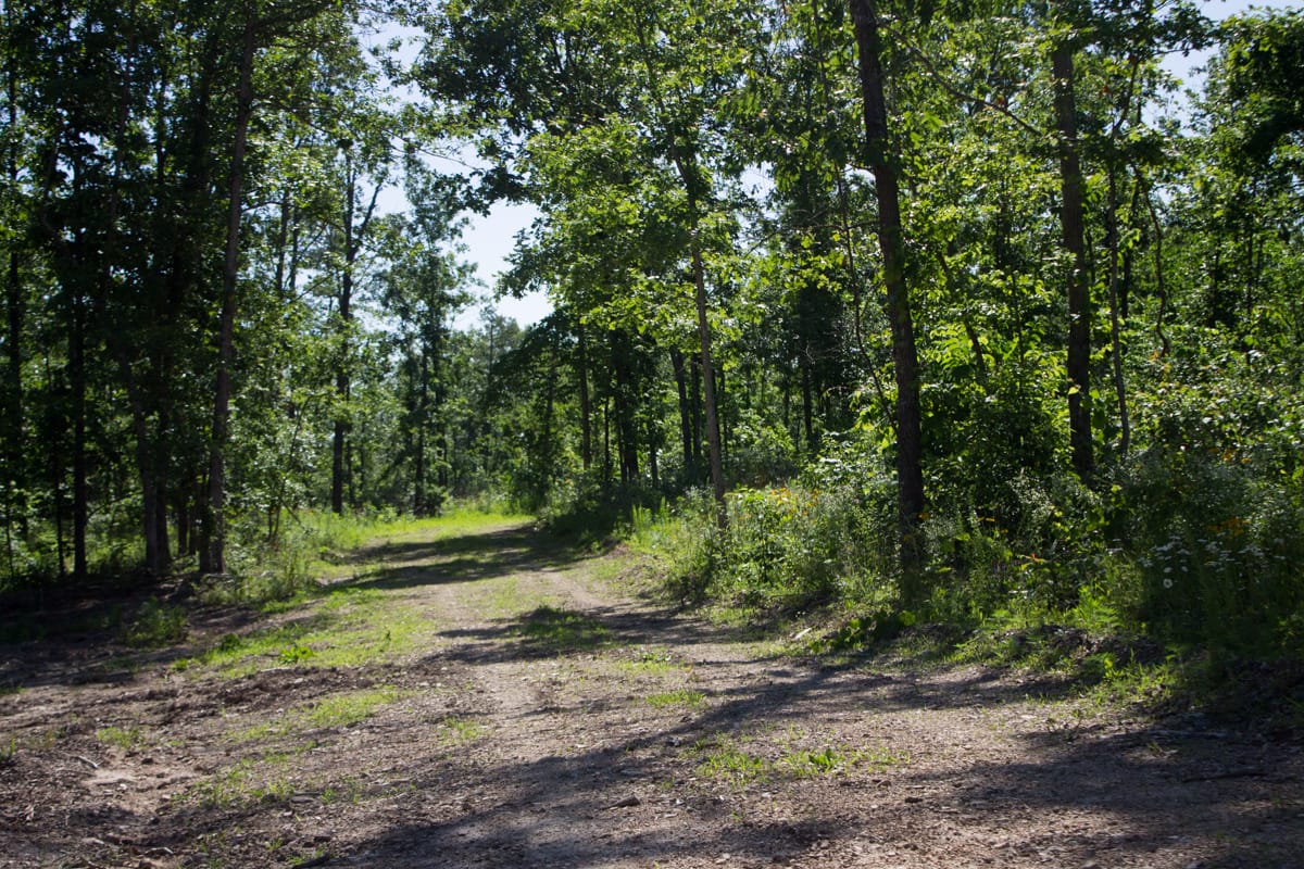 Timber Crossing Tract 5 photo 8