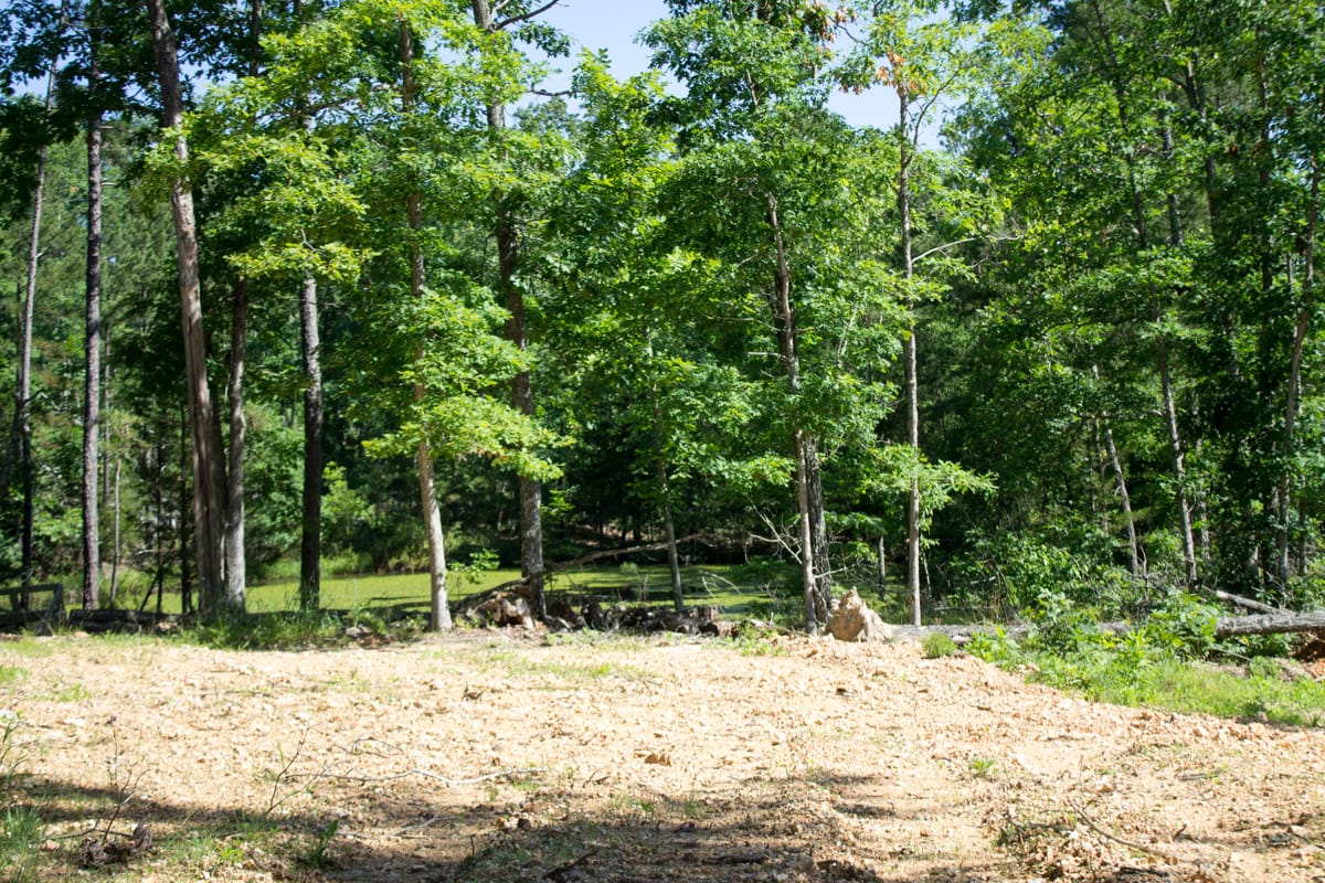 Timber Crossing Tract 5 photo 13