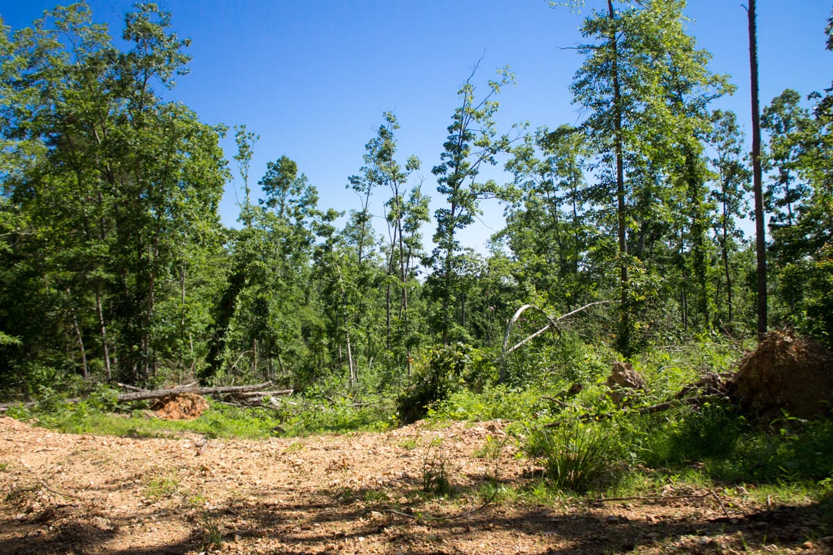 Timber Crossing Tract 5 photo 14