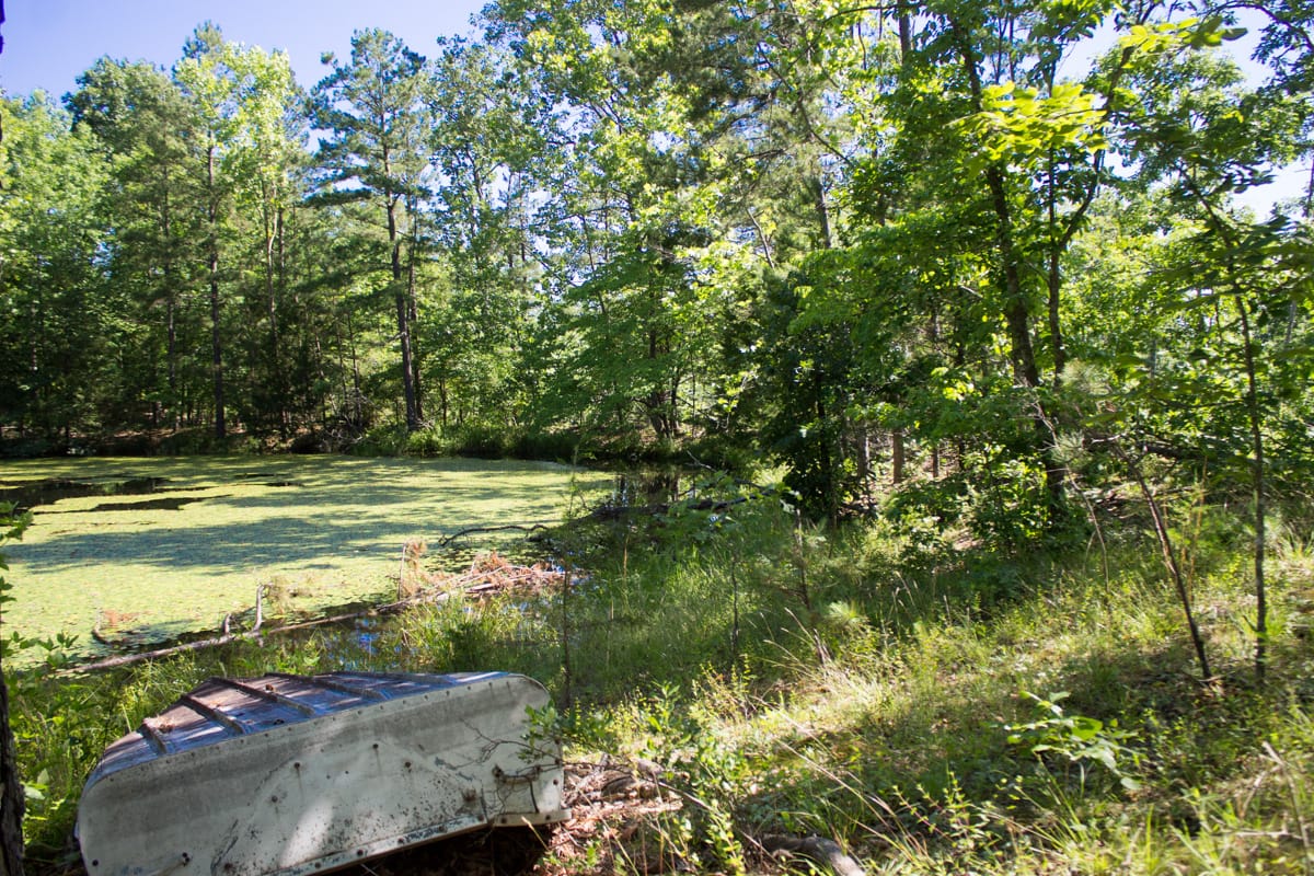 Timber Crossing Tract 5 photo 15