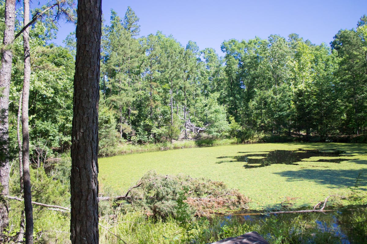 Timber Crossing Tract 5 photo 16