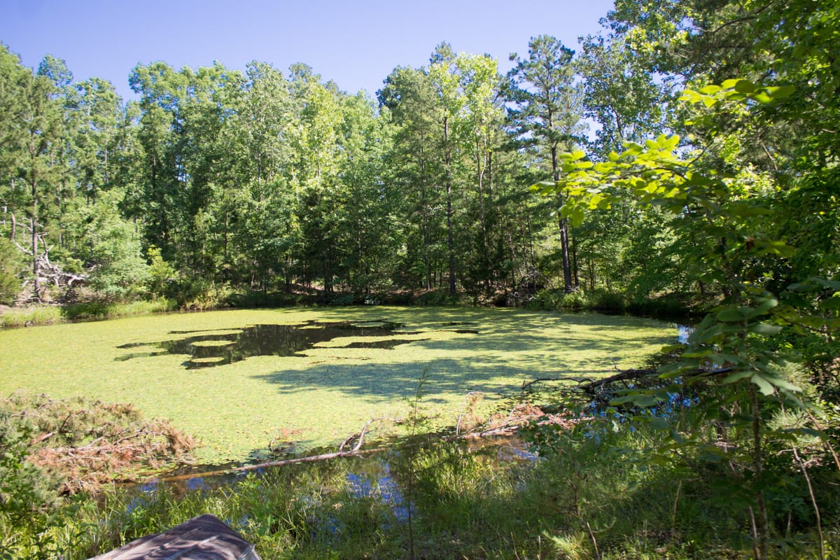 Timber Crossing Tract 5 photo 17